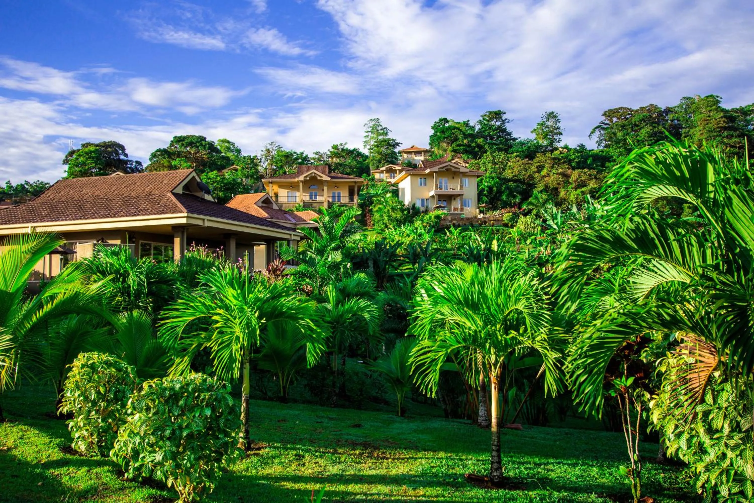 Red Frog Beach Island Resort