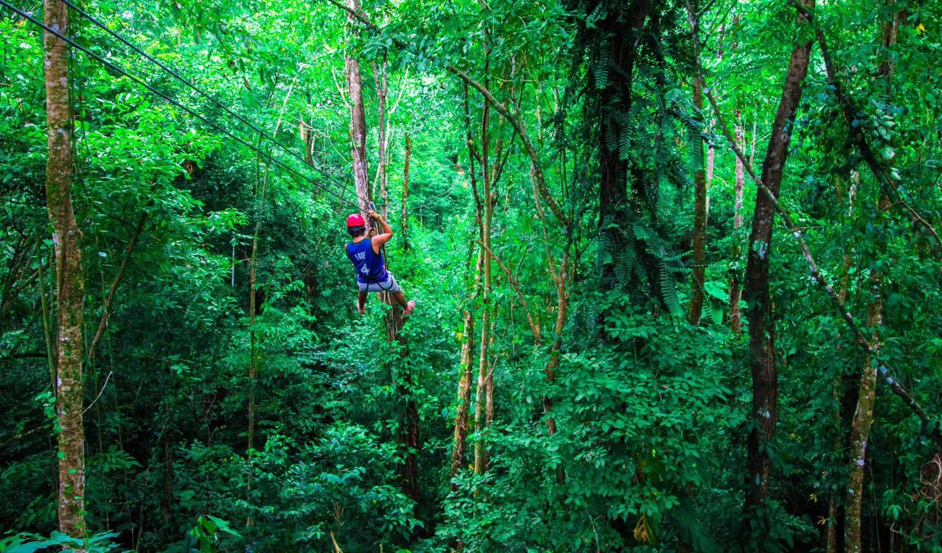 Activities in Red Frog Beach Island Resort