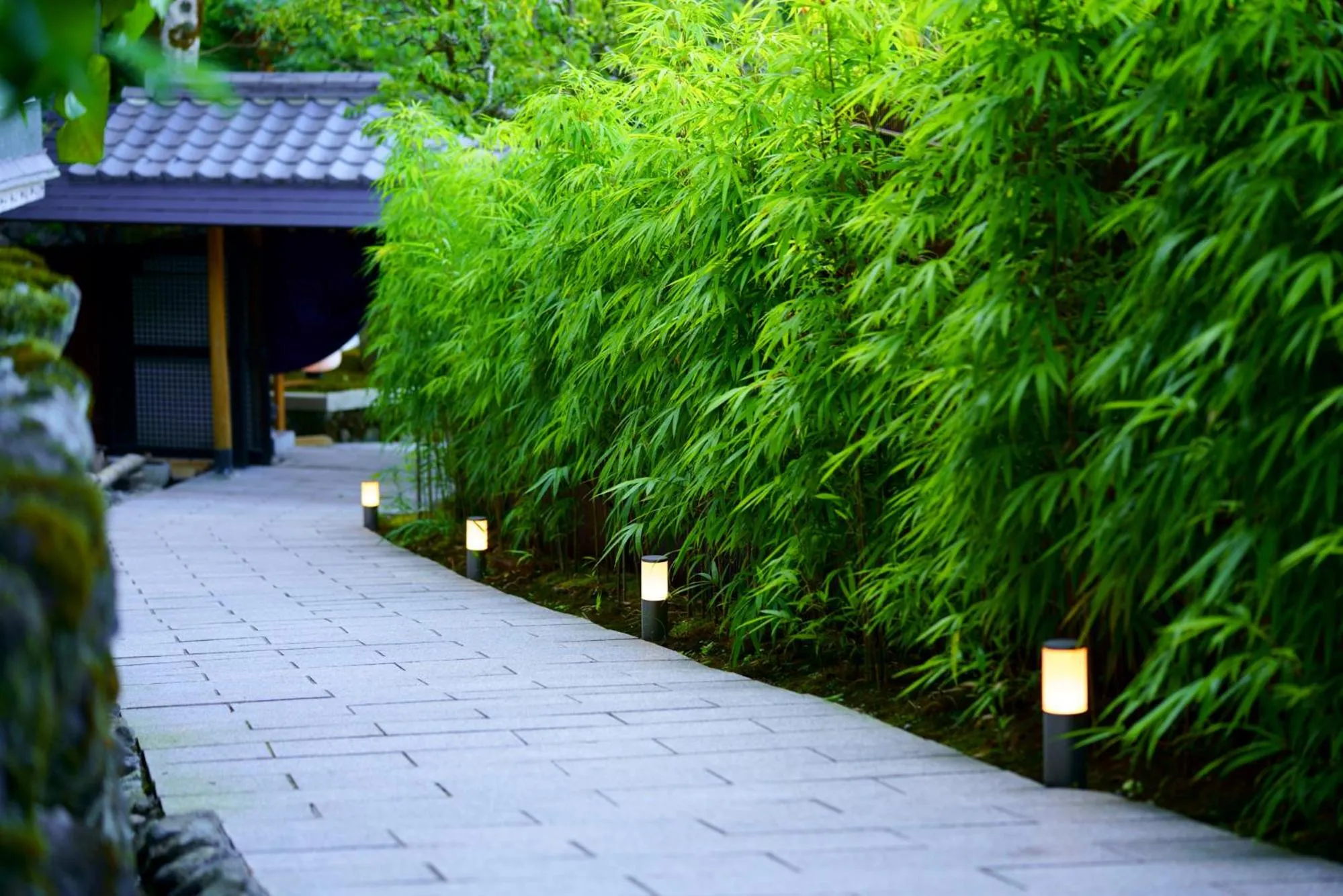 Natural landscape in Beppu Showaen