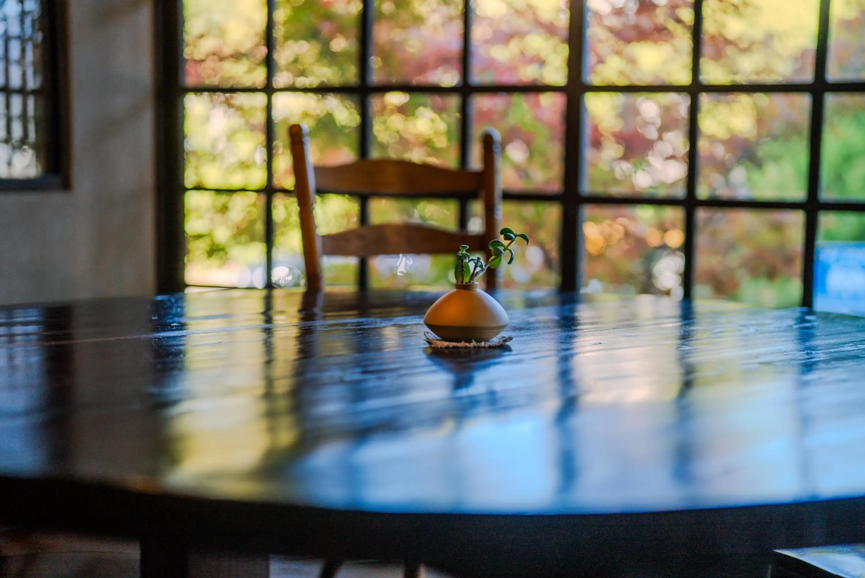 Area and facilities in Ryokan Kiraku