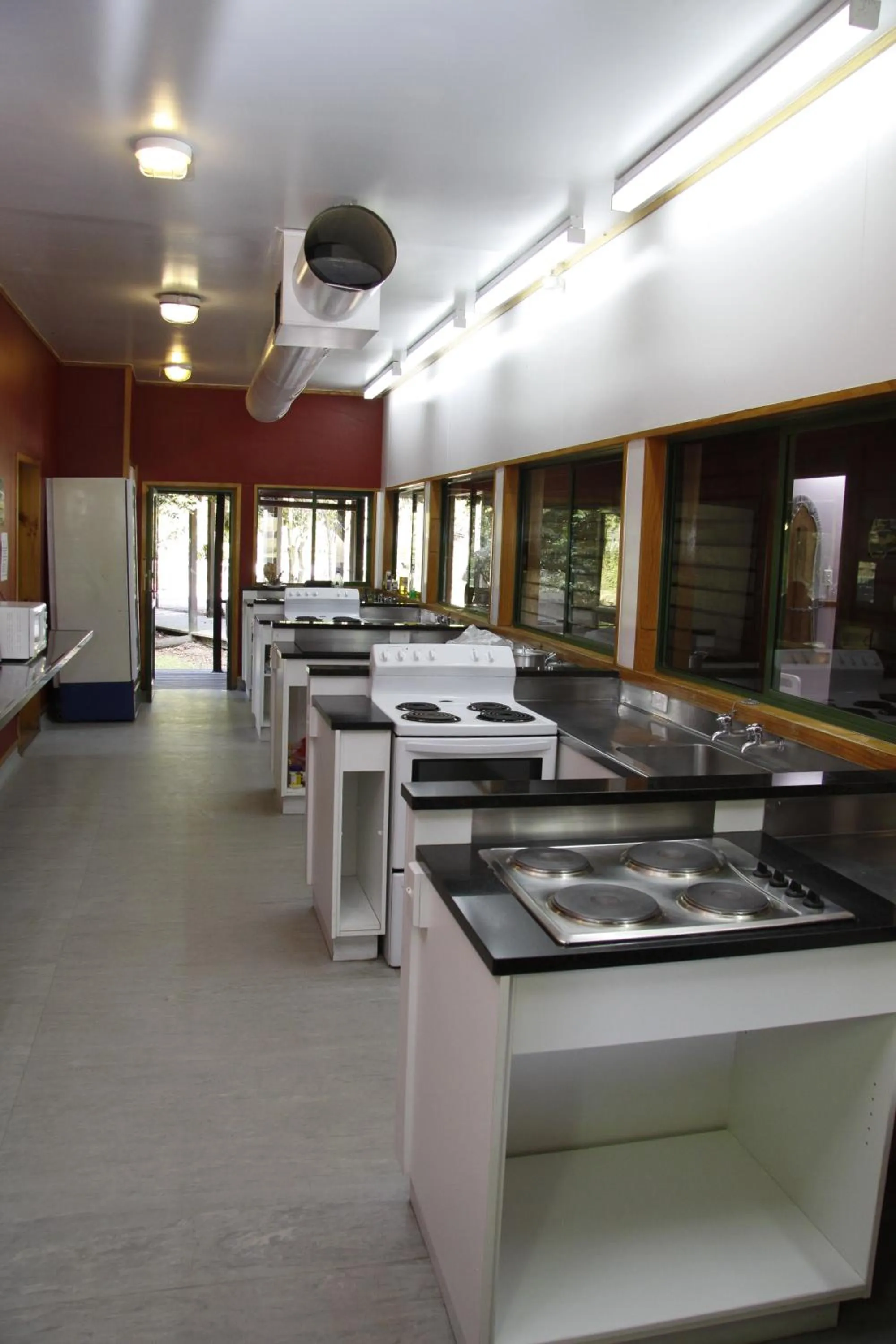 Day in Rotorua Thermal Holiday Park