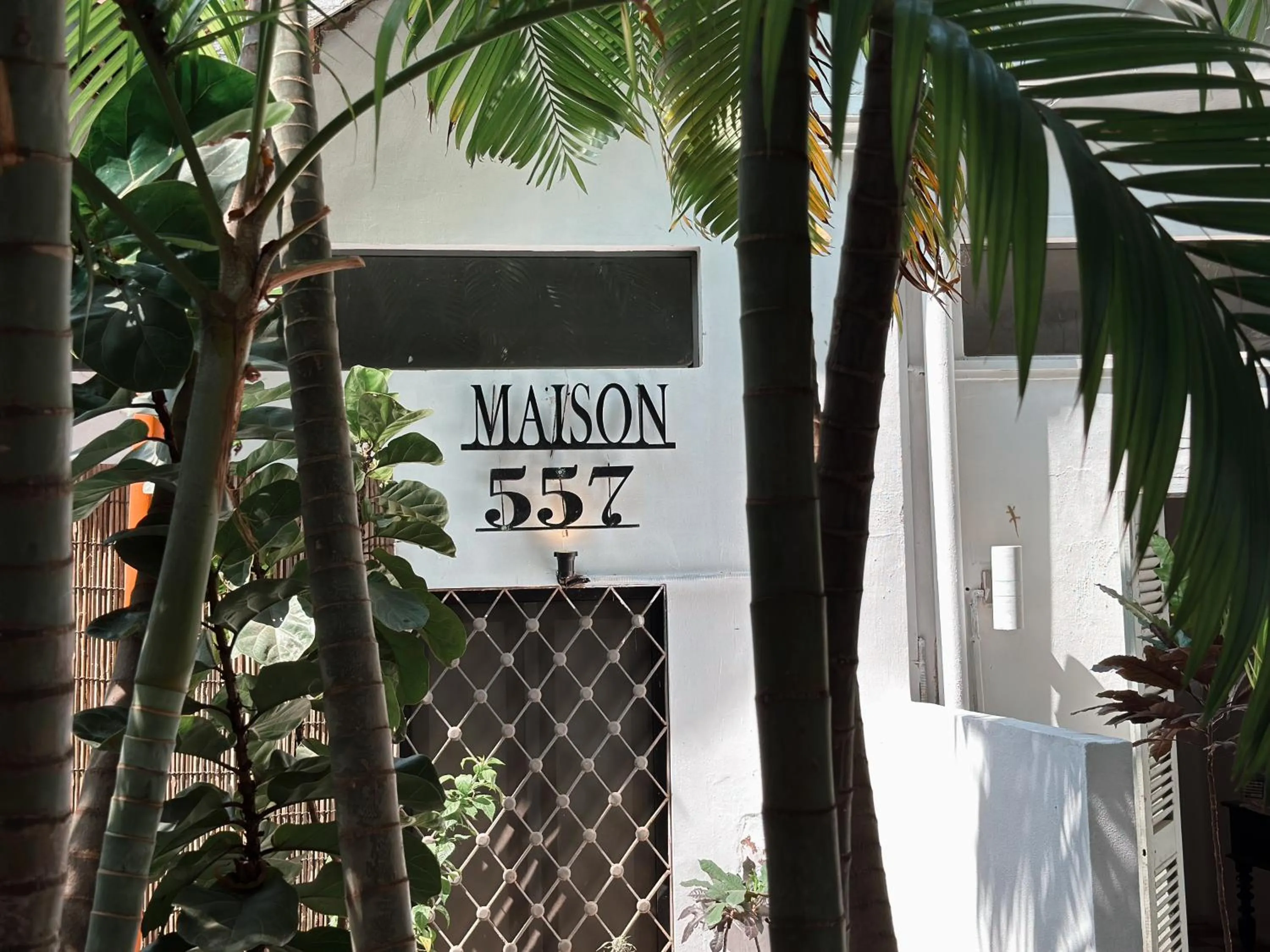 Decorative detail in Maison 557