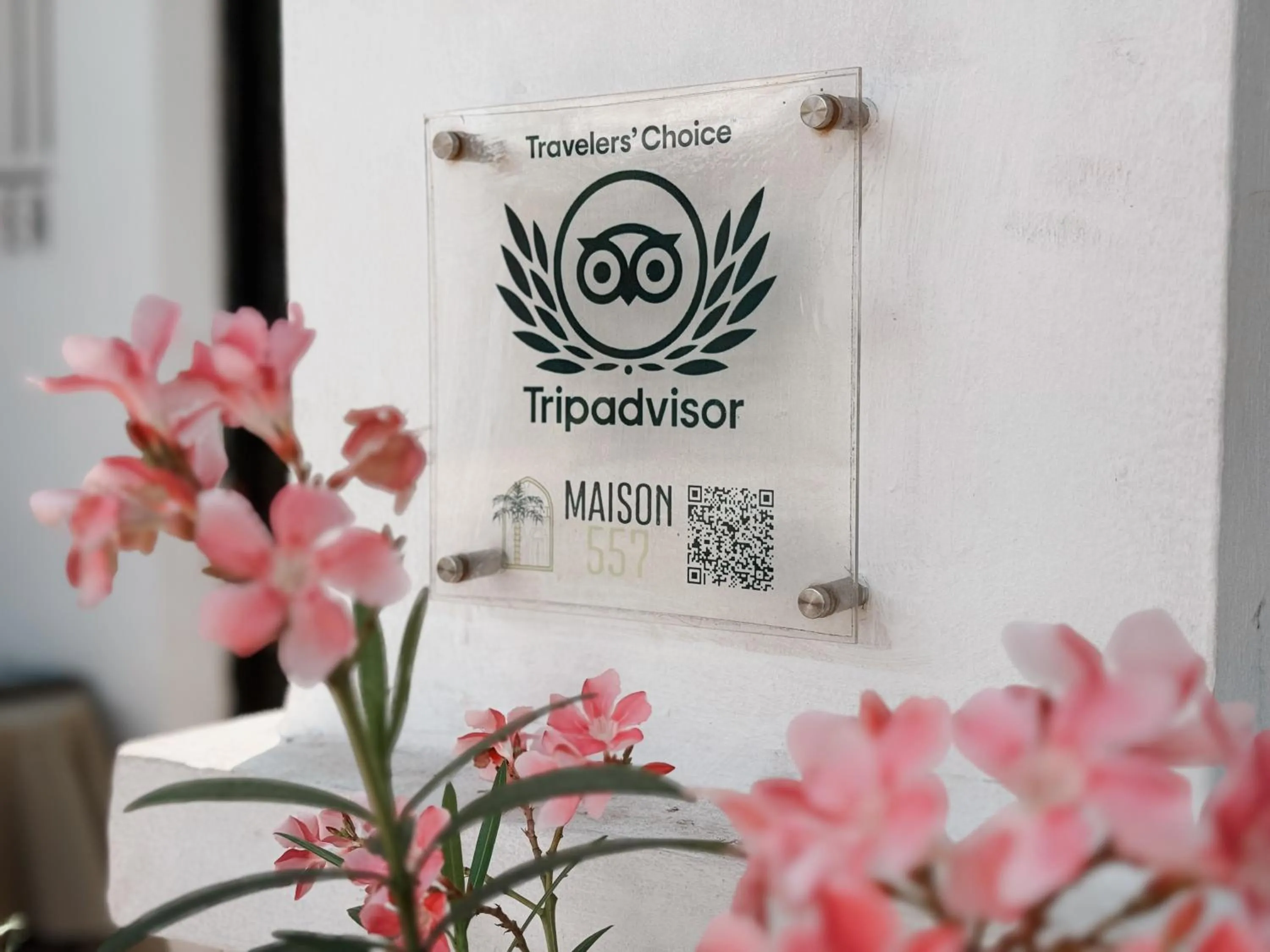 Decorative detail in Maison 557