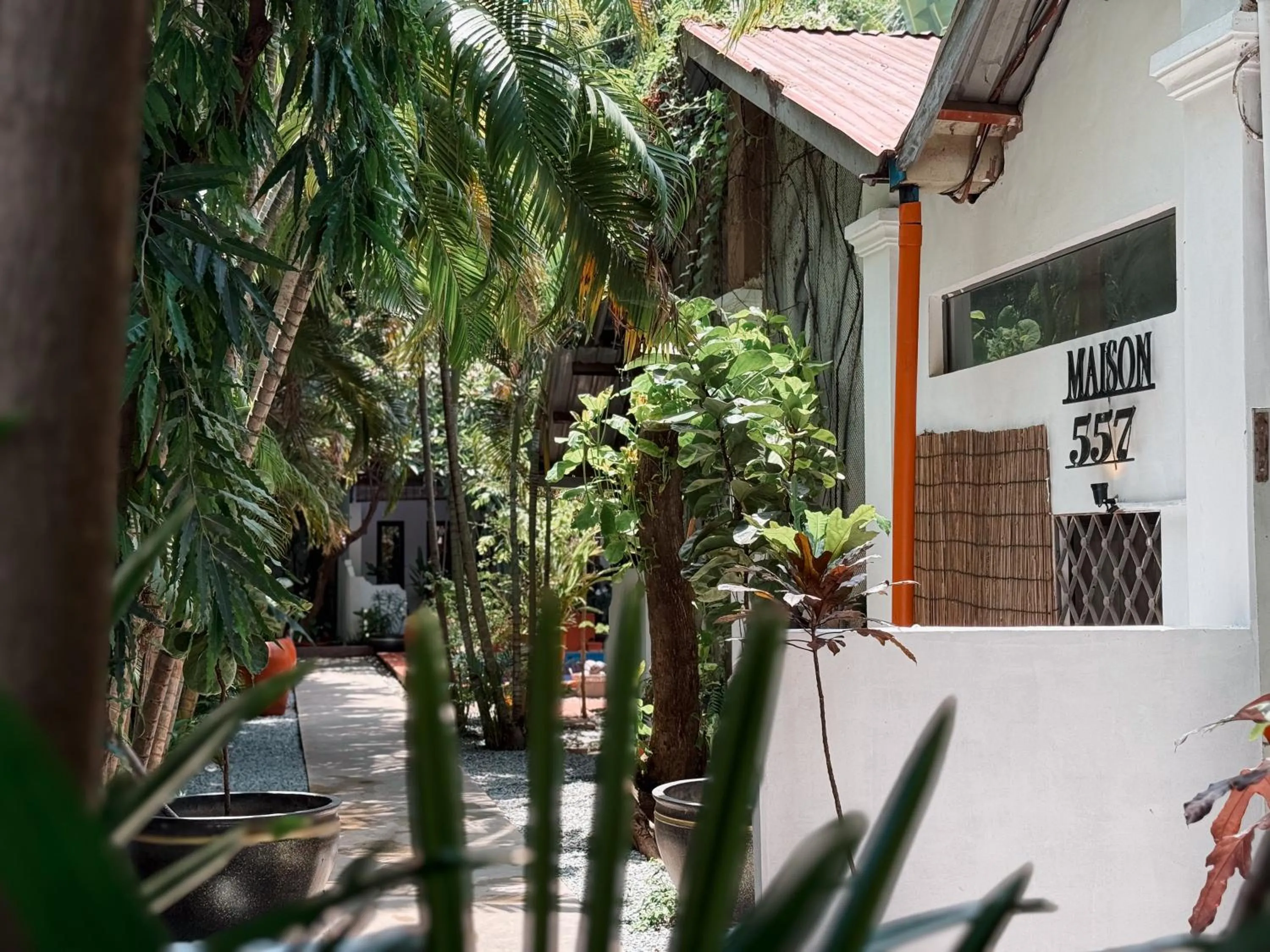 Garden in Maison 557