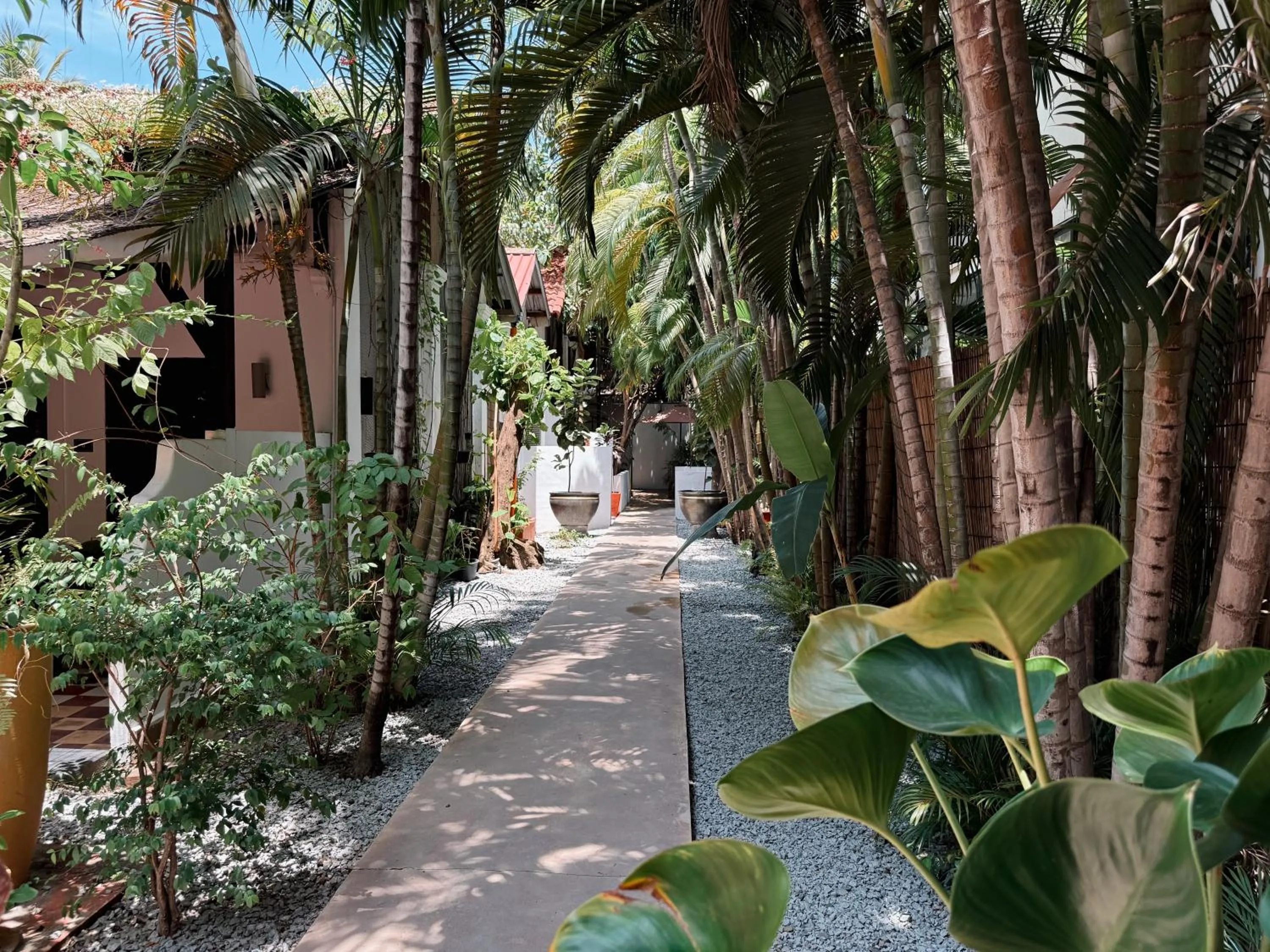 Garden in Maison 557