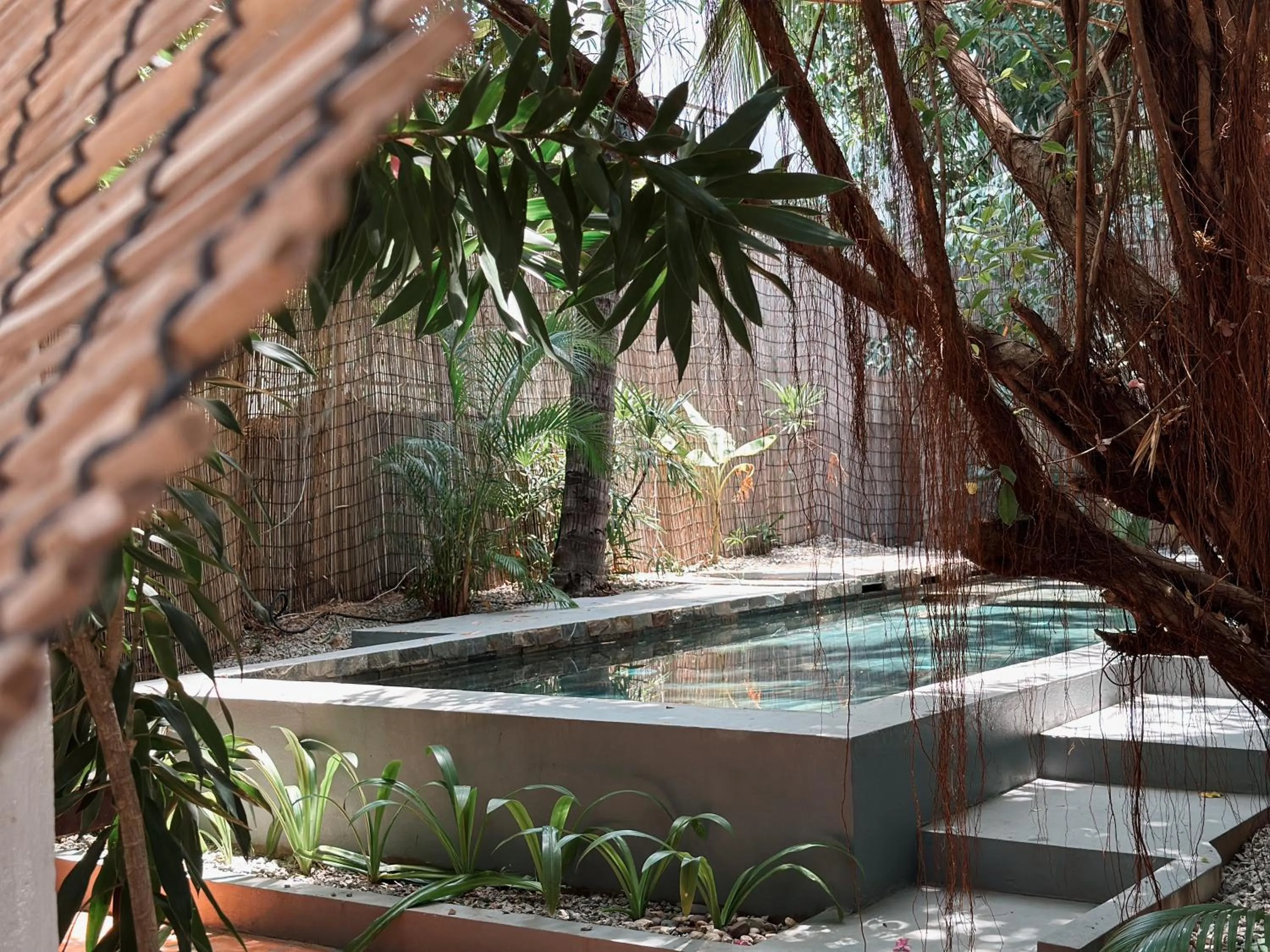 Swimming pool in Maison 557