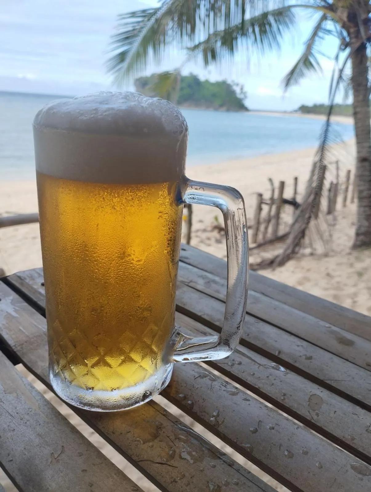 Food and drinks in Binucot Beach Resort