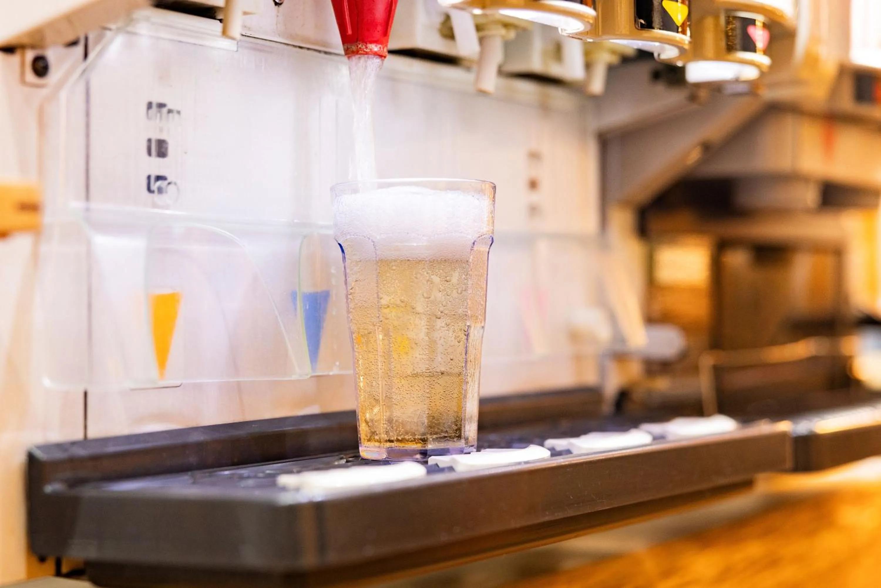 Dinner in Aso Baien Spa Resort