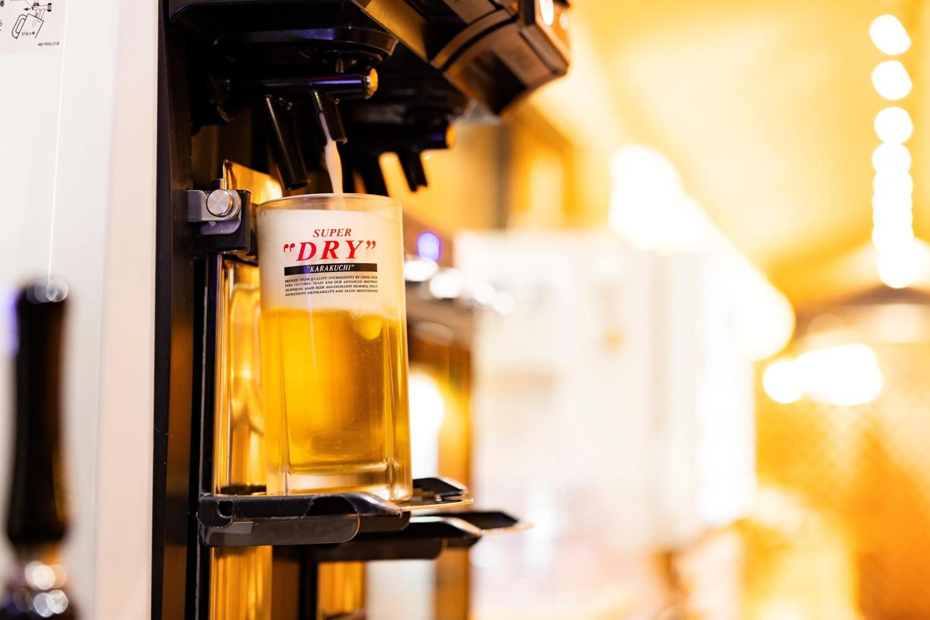 Dinner in Aso Baien Spa Resort