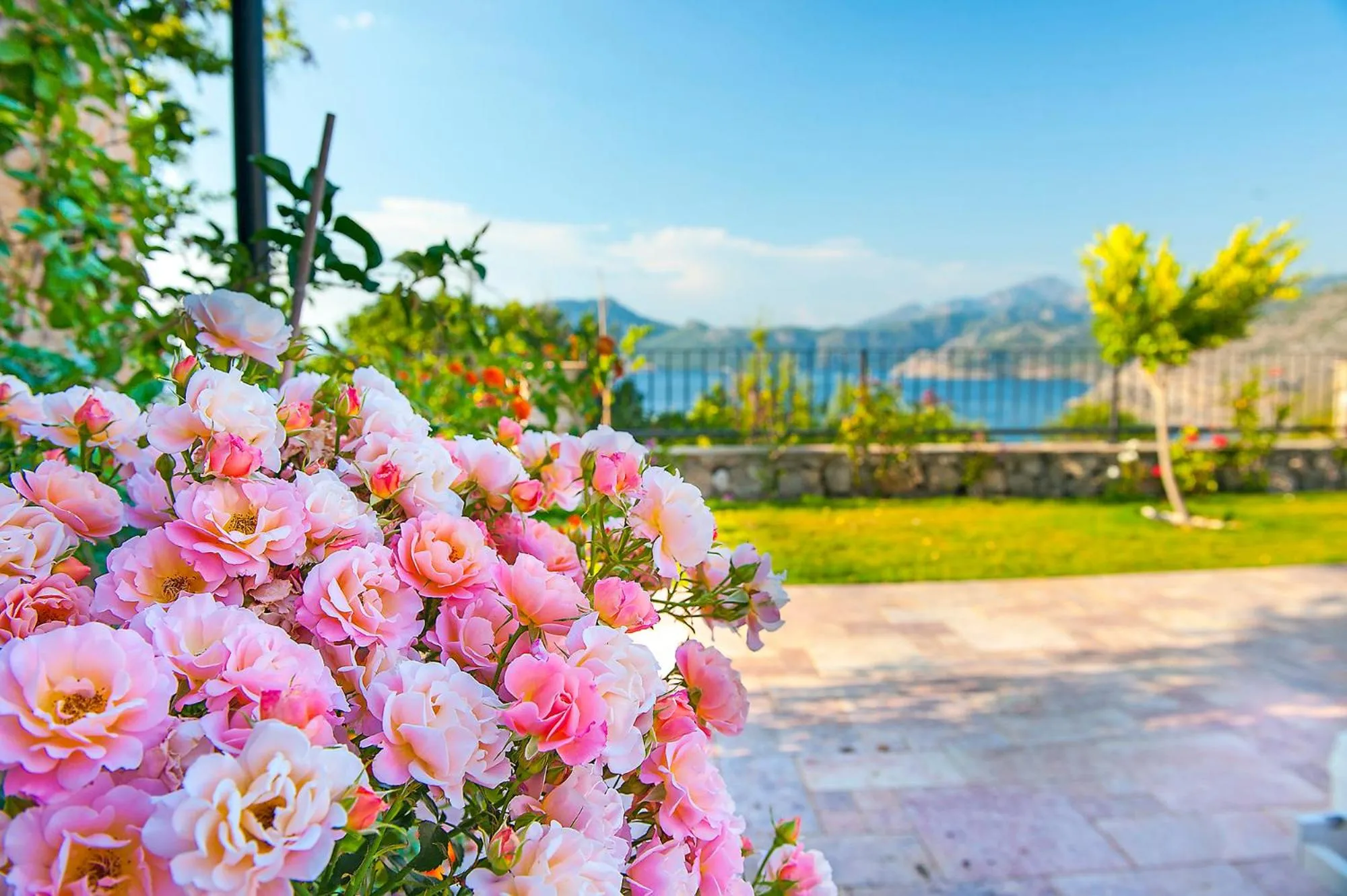 Garden in Swan Lake Hotel - Adult Only