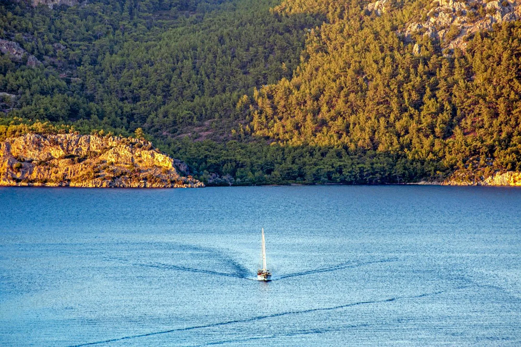 Restaurant/places to eat in Swan Lake Hotel - Adult Only