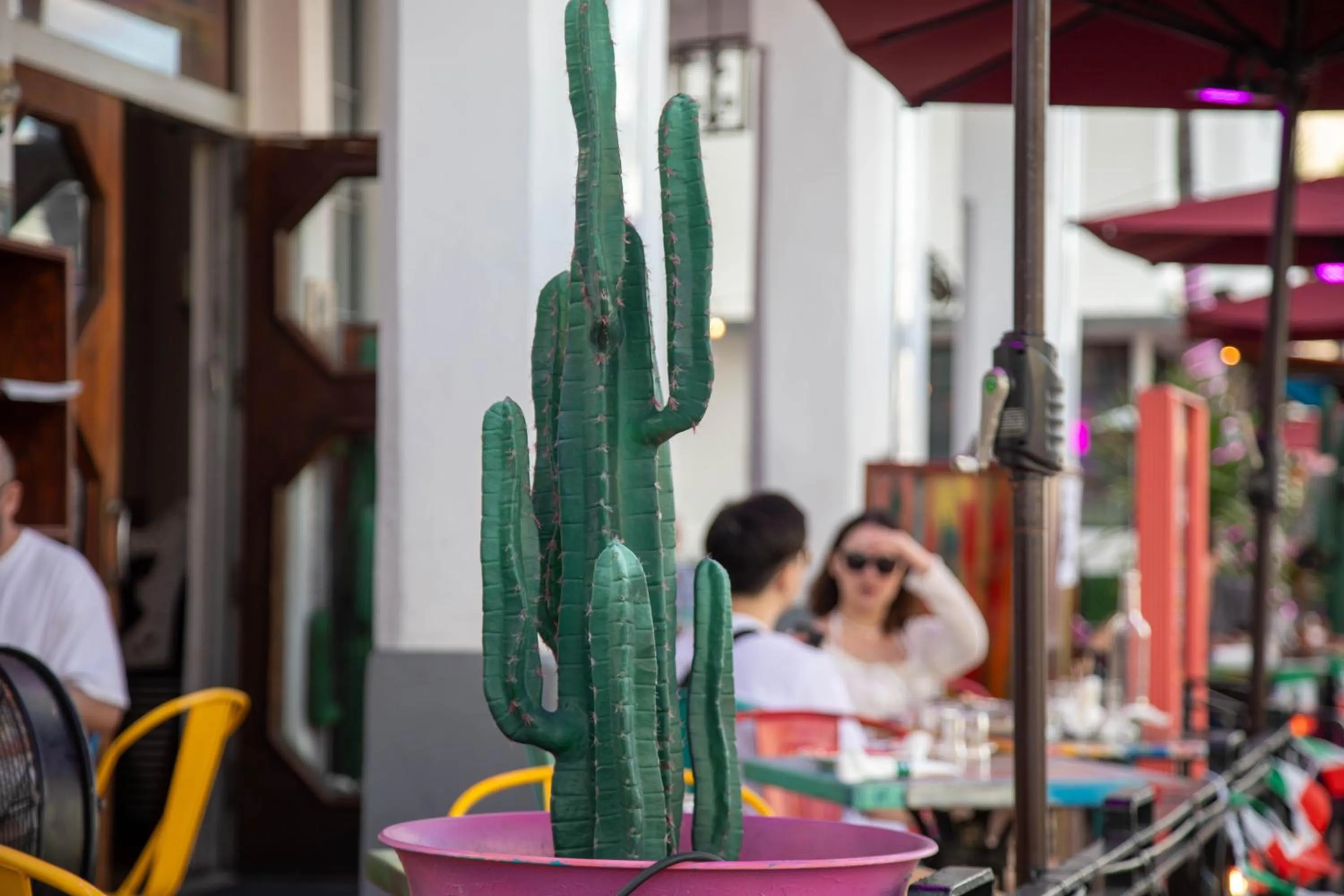 Restaurant/places to eat in Whitelaw Hotel