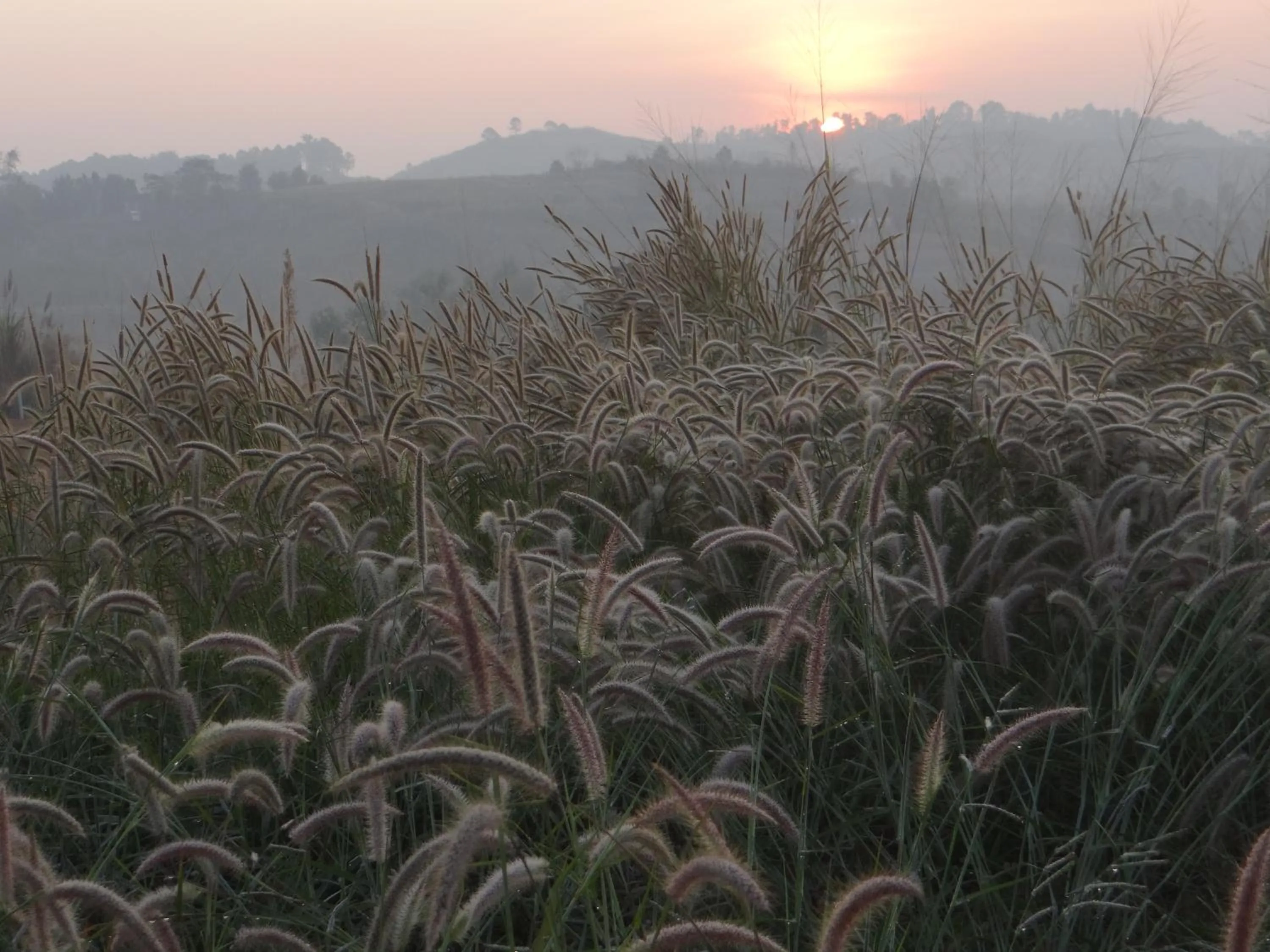 Mountain view in Fufu In Love Cottages & Campground