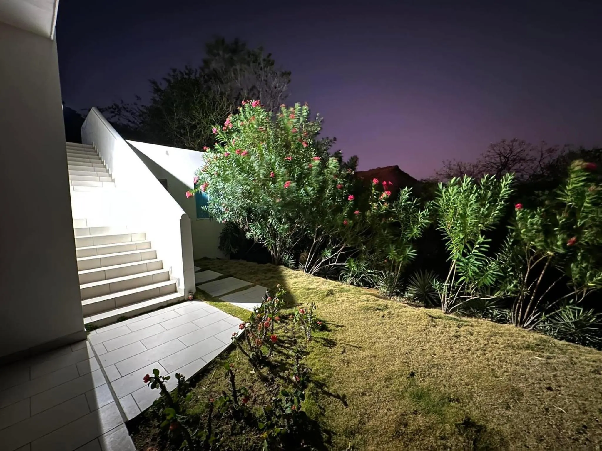 Night in Surf Ranch Resort - Popoyo