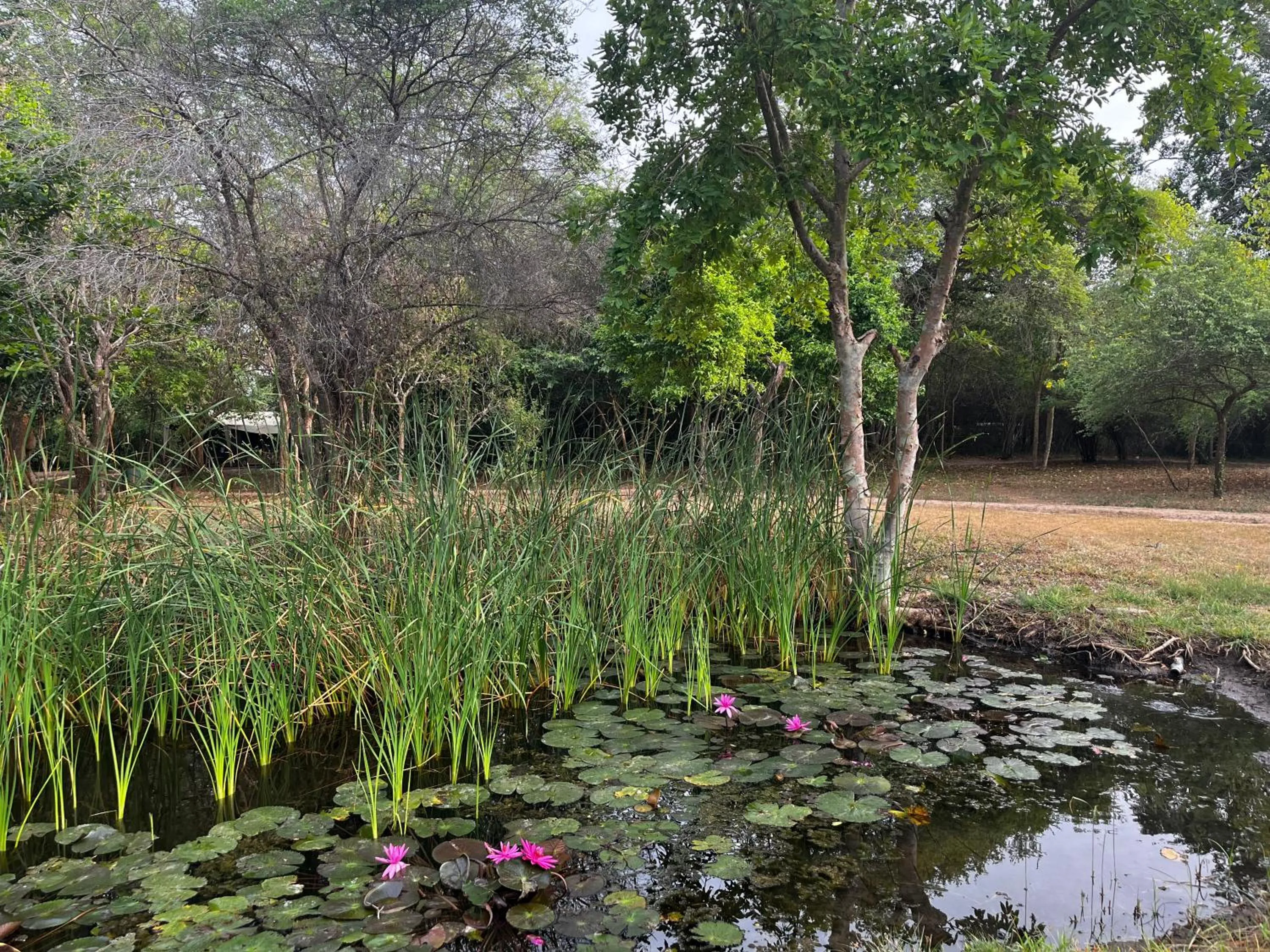 Other in Big Game - Wilpattu by Eco Team