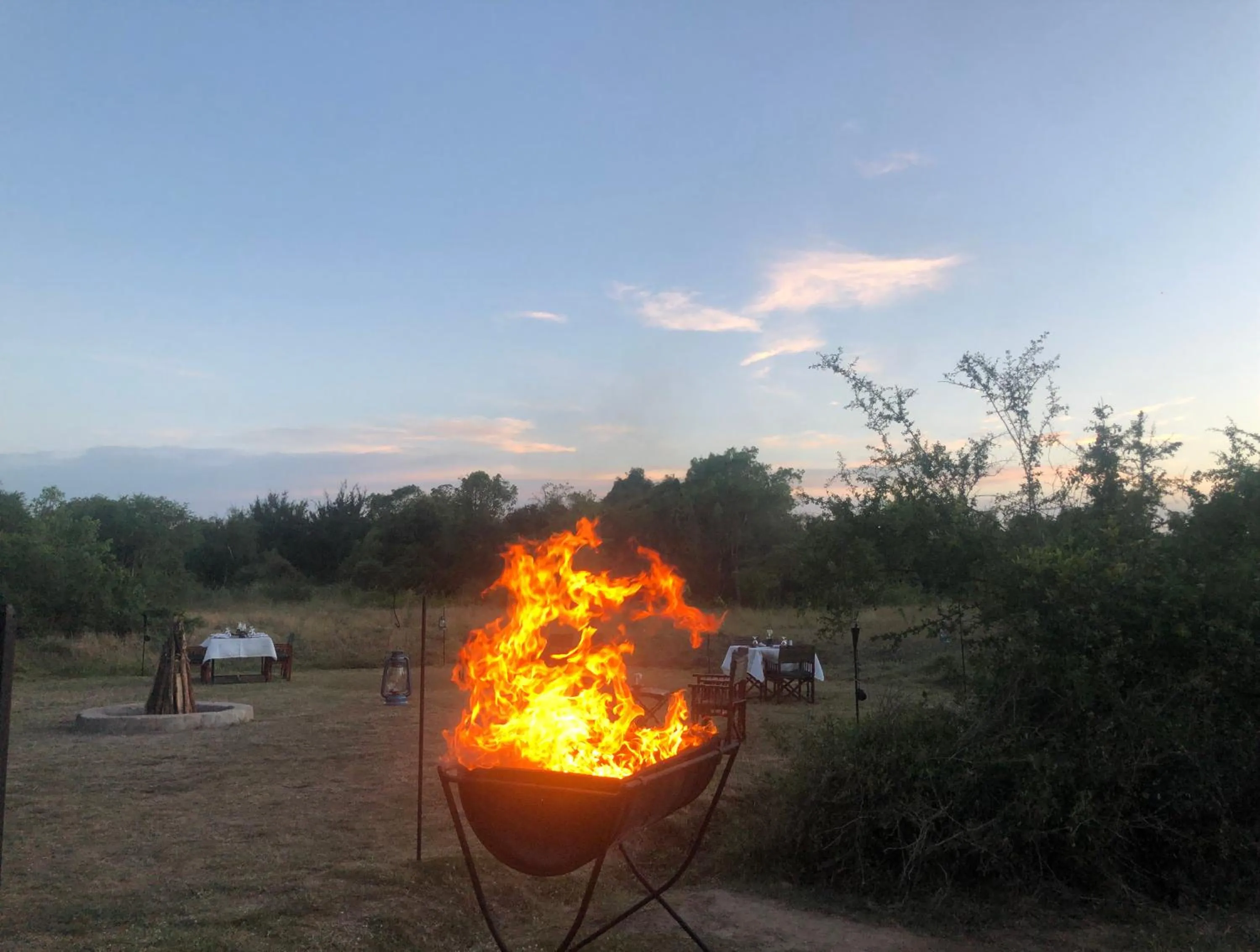 Natural landscape in Big Game - Wilpattu by Eco Team