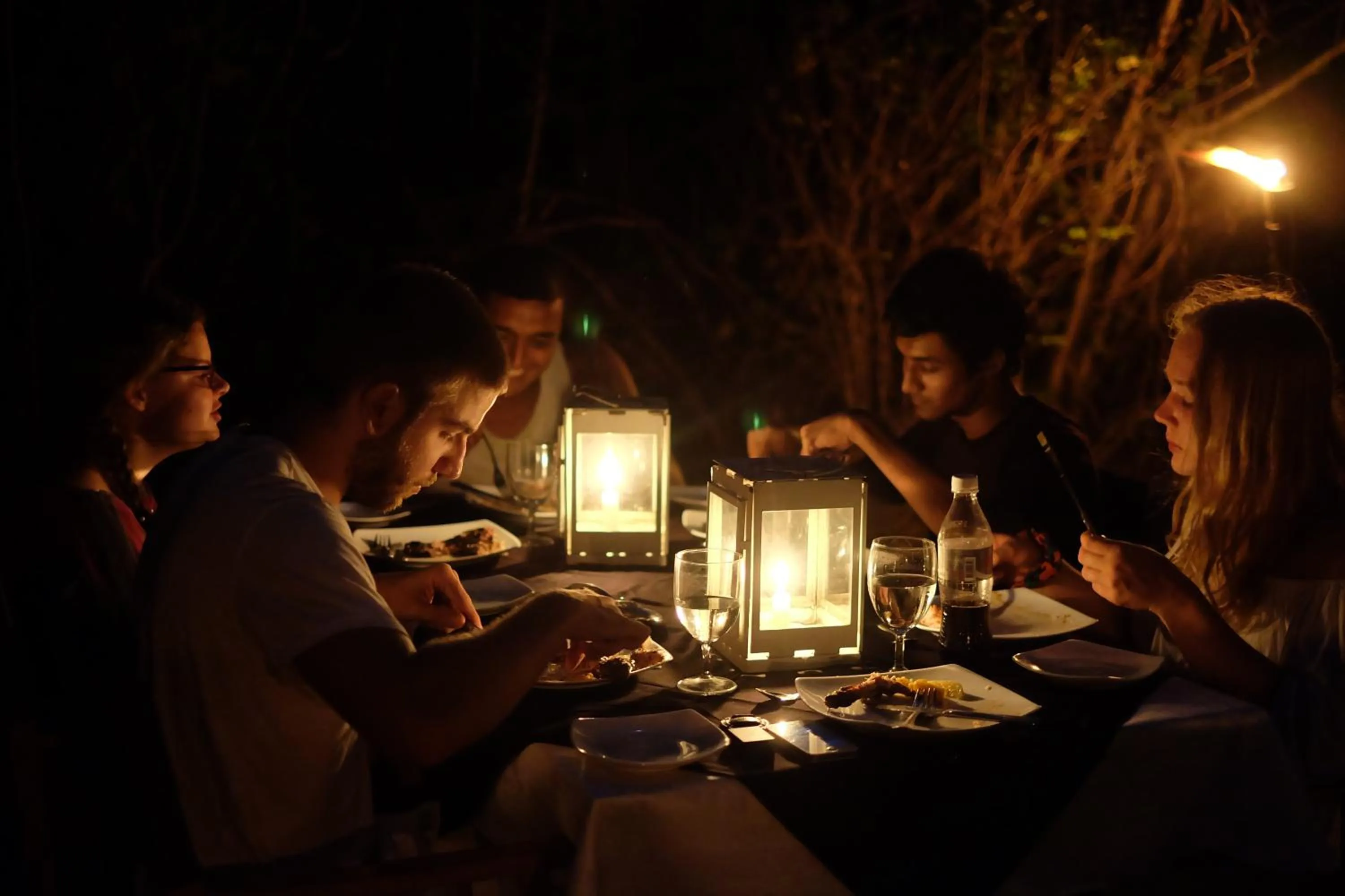 Night in Big Game - Wilpattu by Eco Team