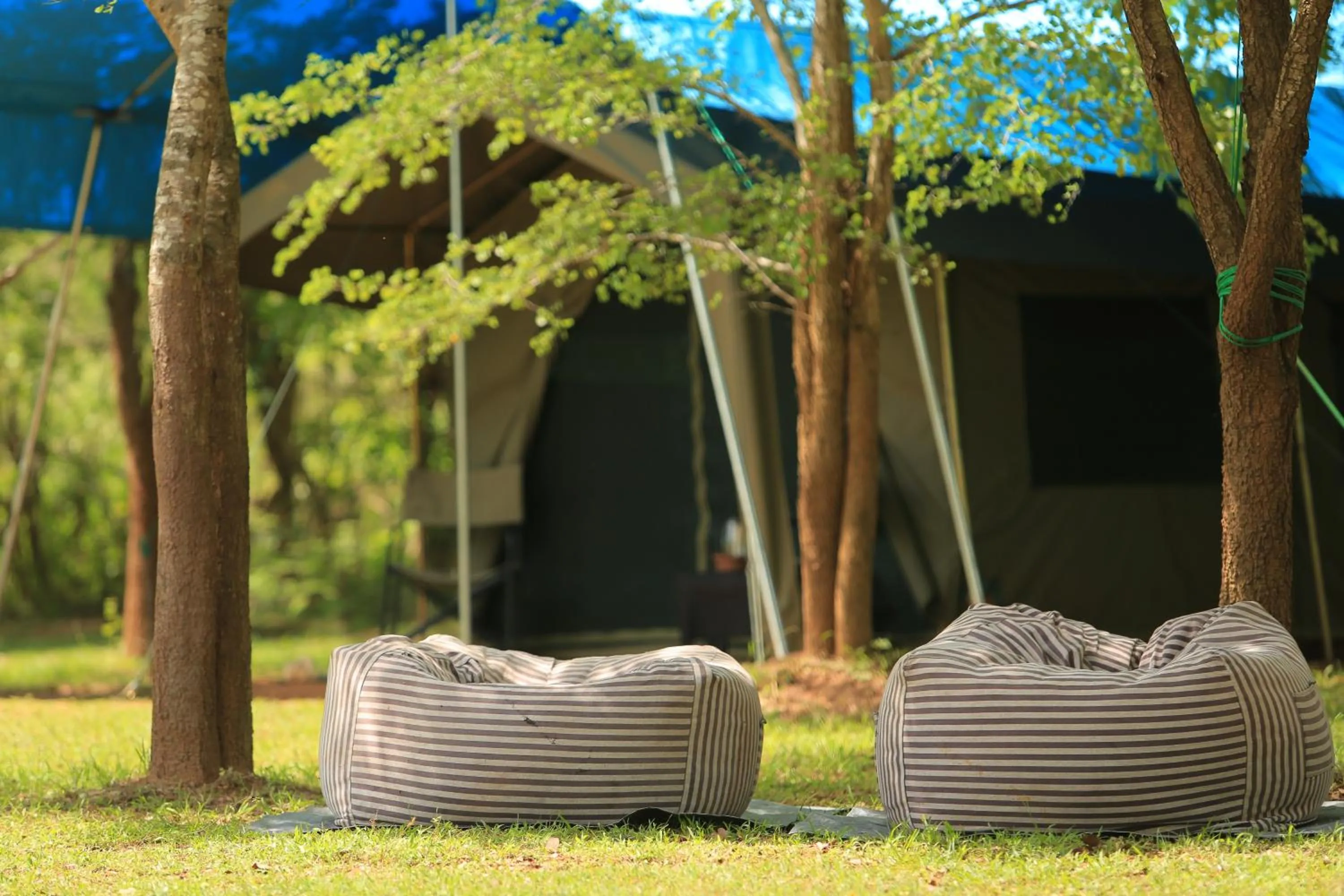 Garden in Big Game - Wilpattu by Eco Team