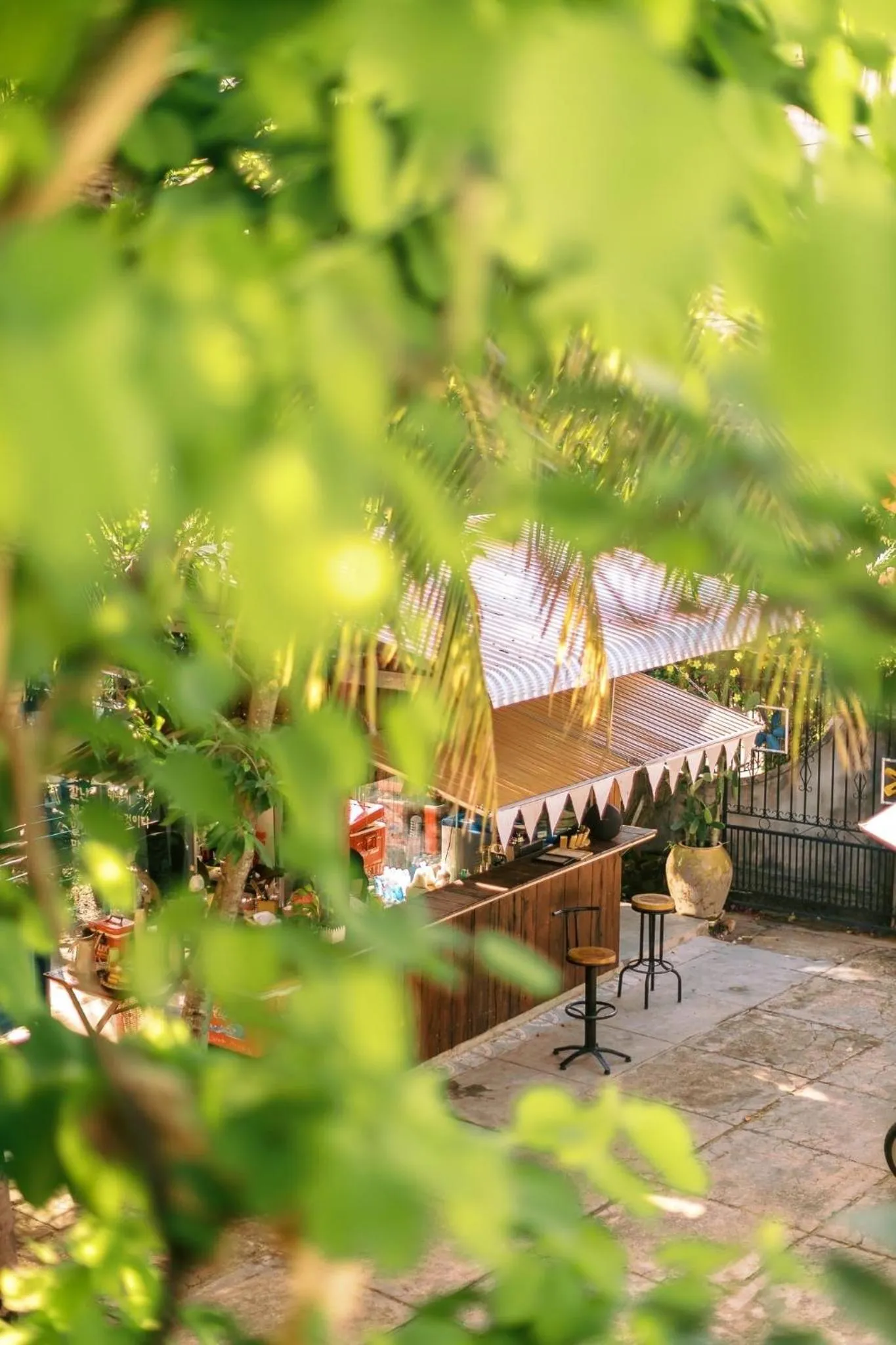 Garden view in Yellow Farm Homestay at Tuy Hòa Phú Yên