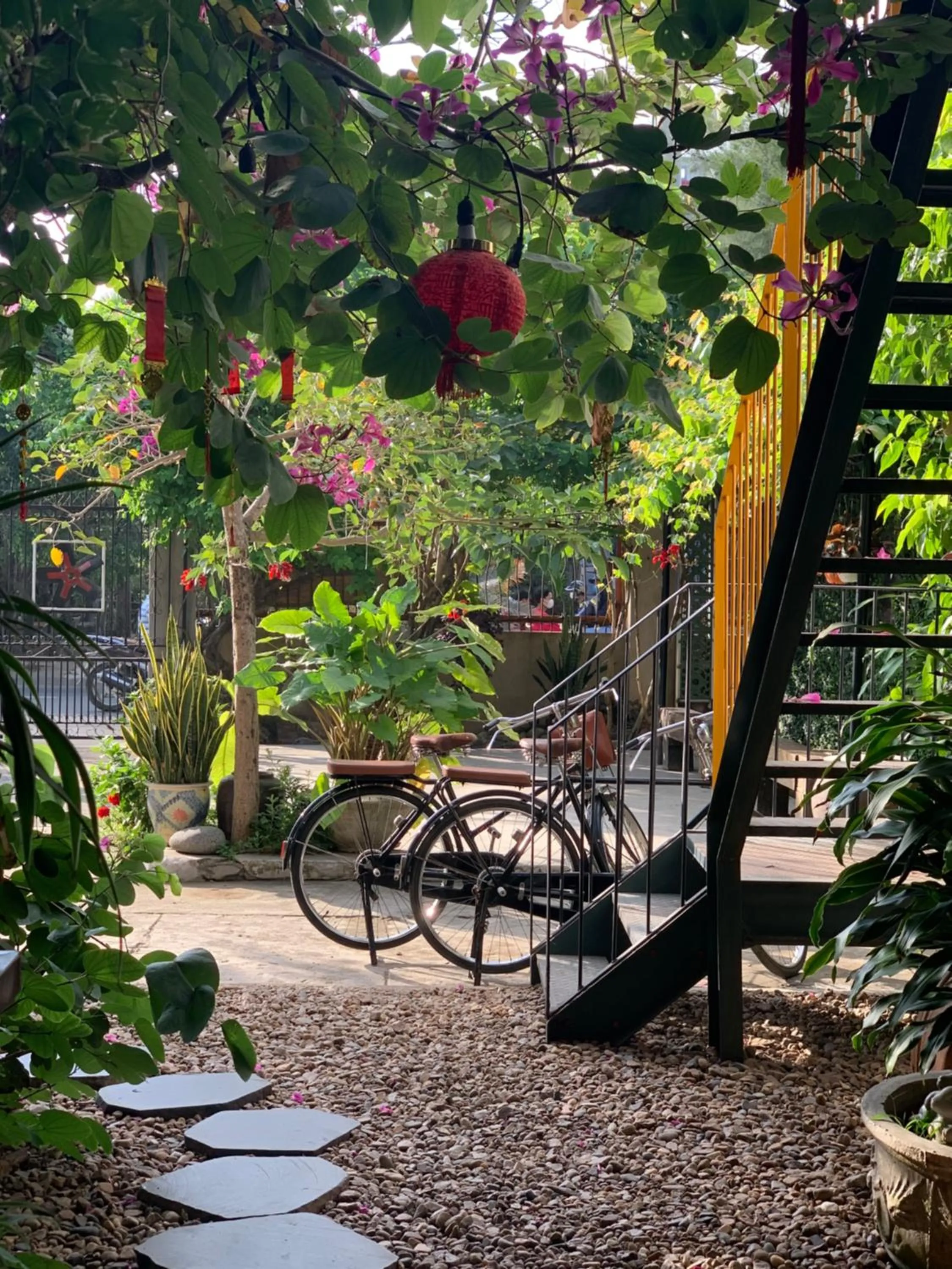 Garden in Yellow Farm Homestay at Tuy Hòa Phú Yên