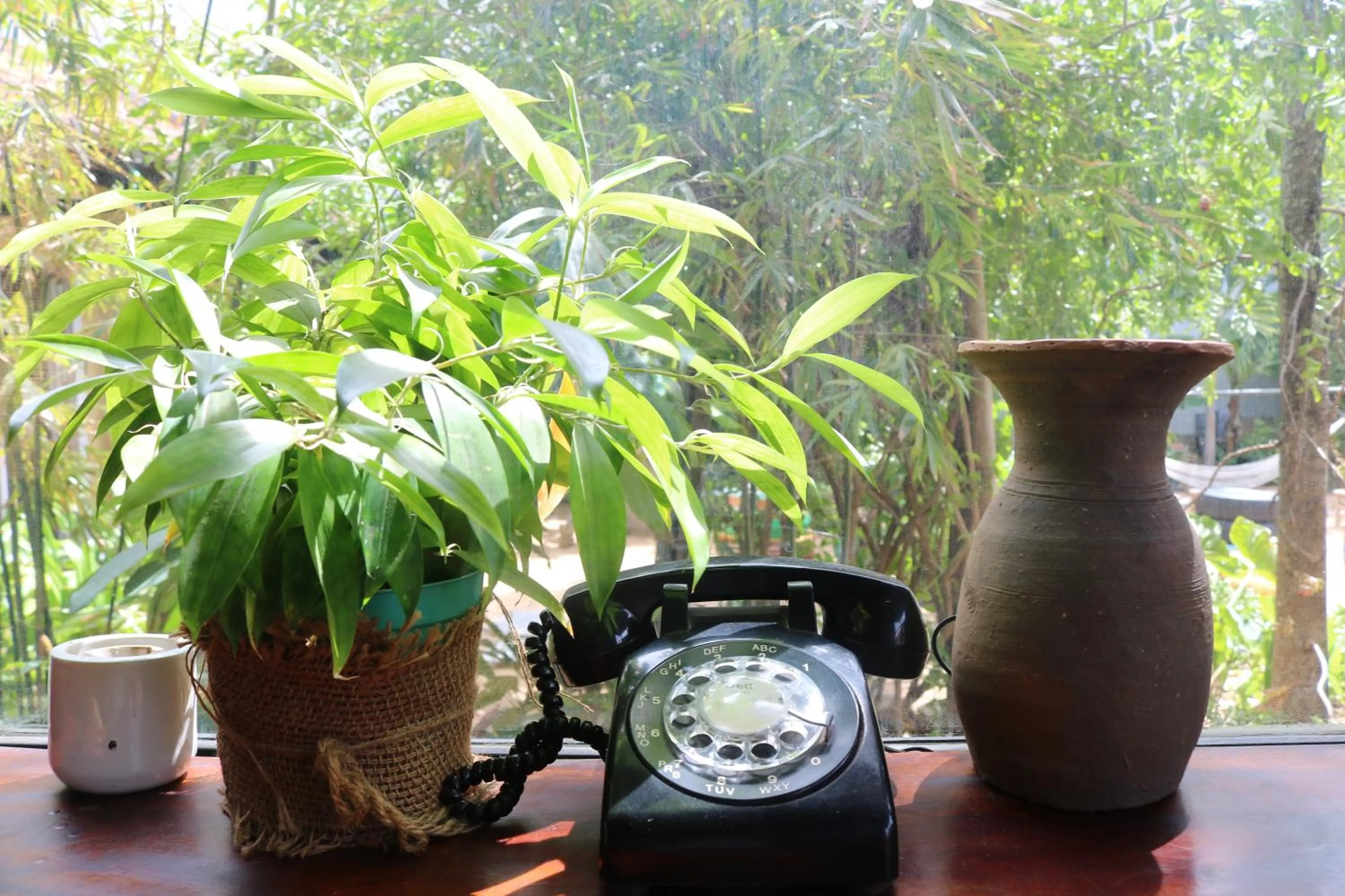 Yellow Farm Homestay at Tuy Hòa Phú Yên