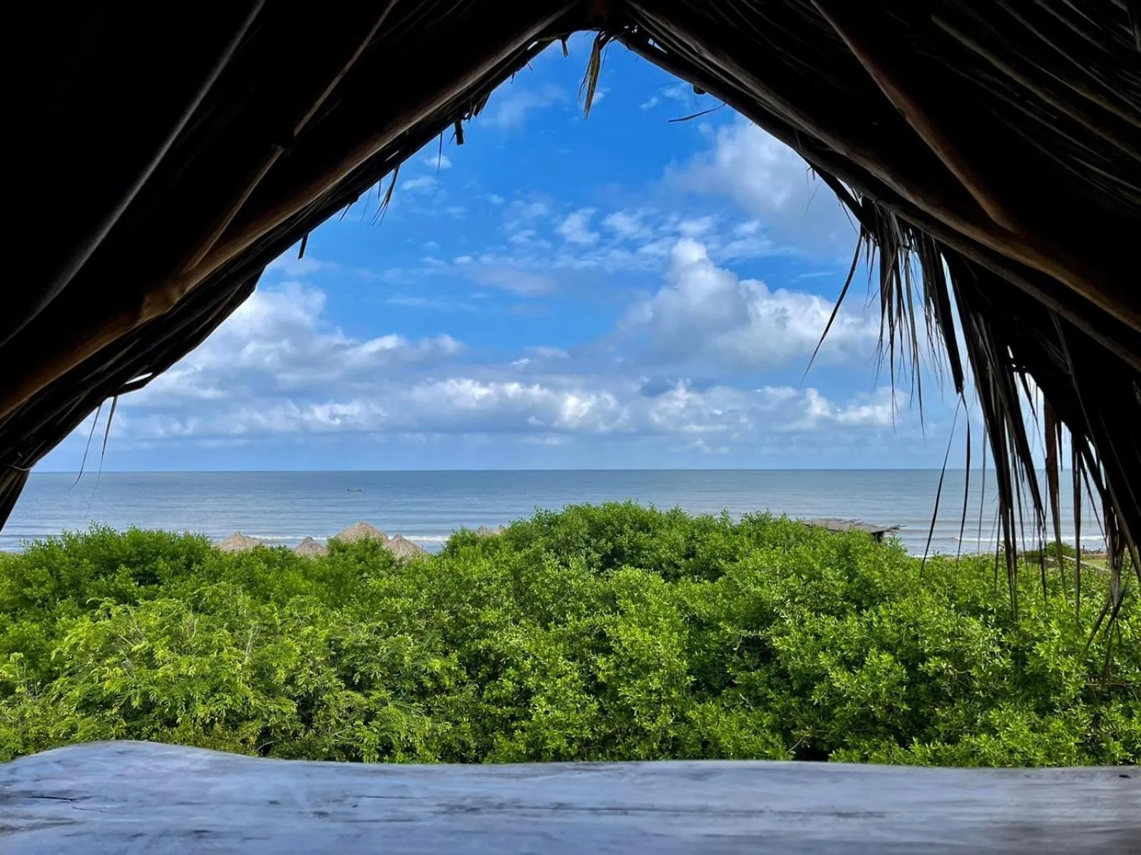 Natural landscape in Eco Xata