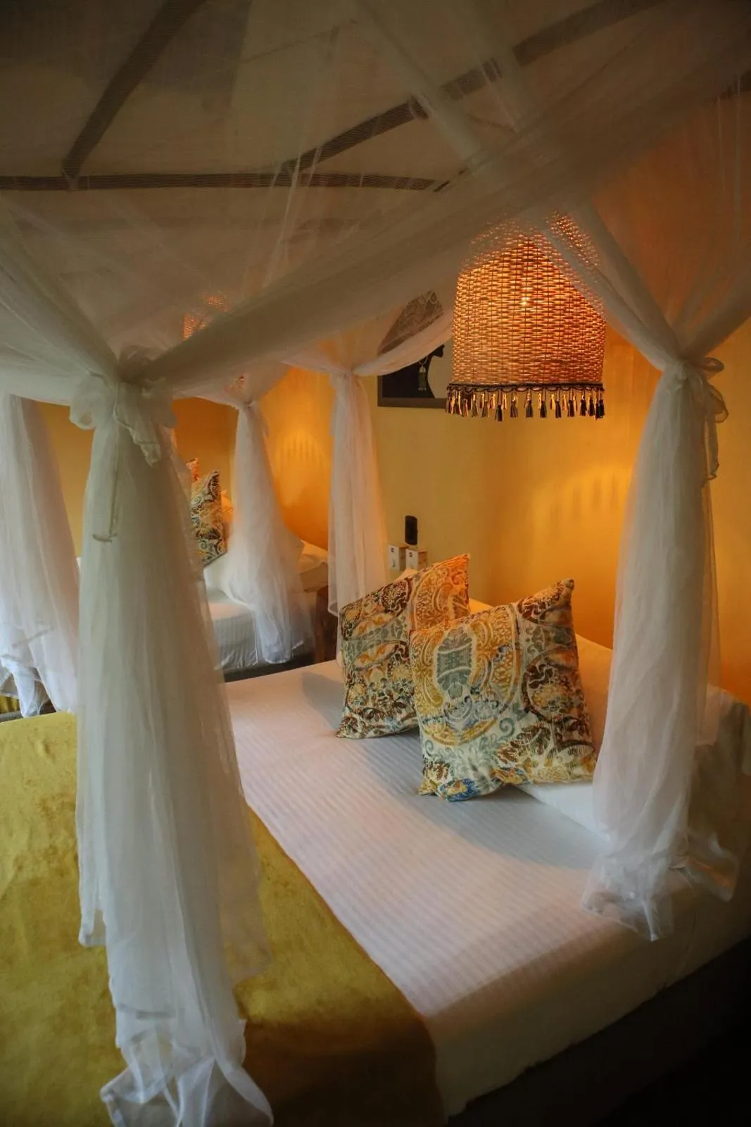 Photo of the whole room in Eco Xata