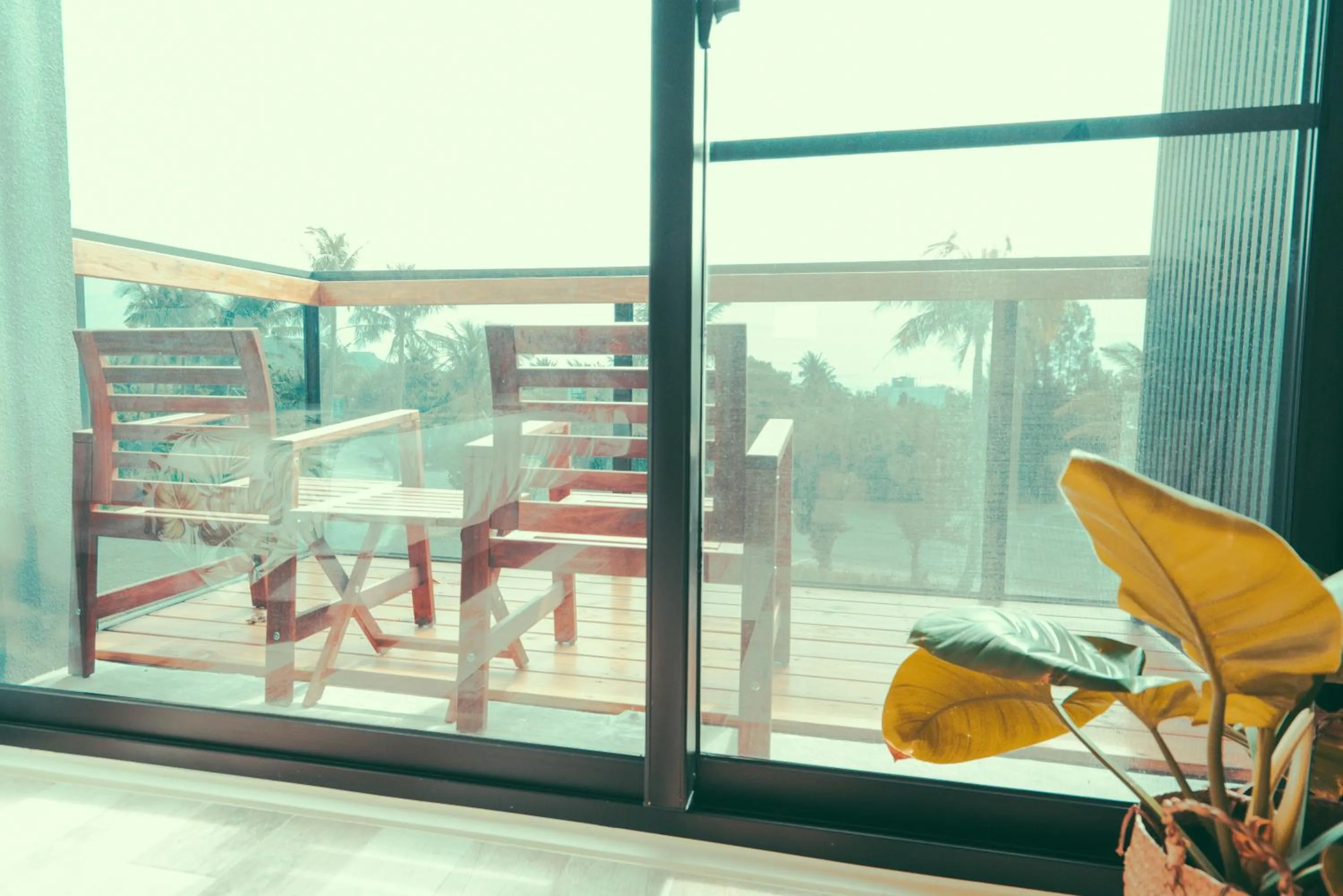 Balcony/Terrace in Shark B&B