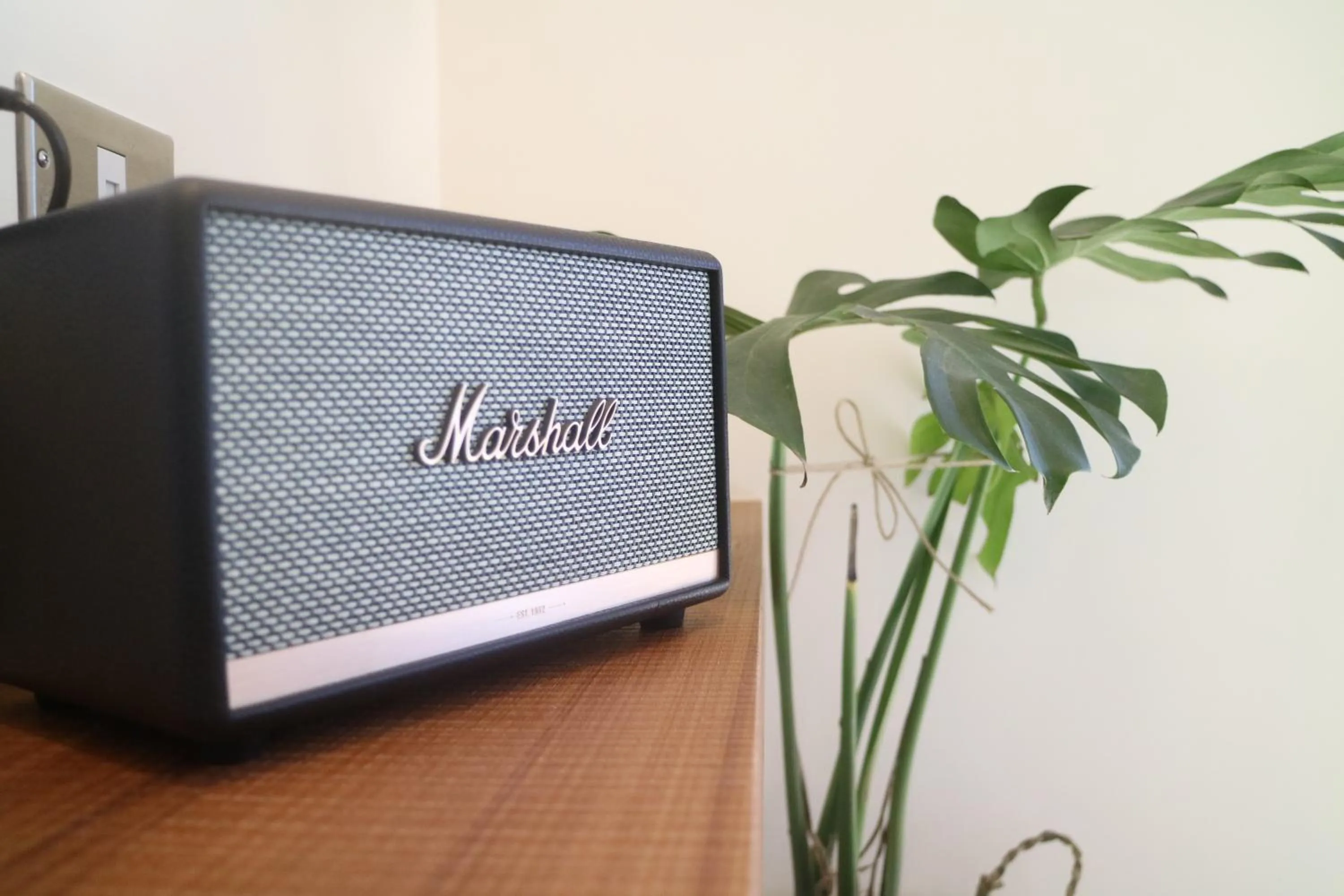 Decorative detail in Shark B&B