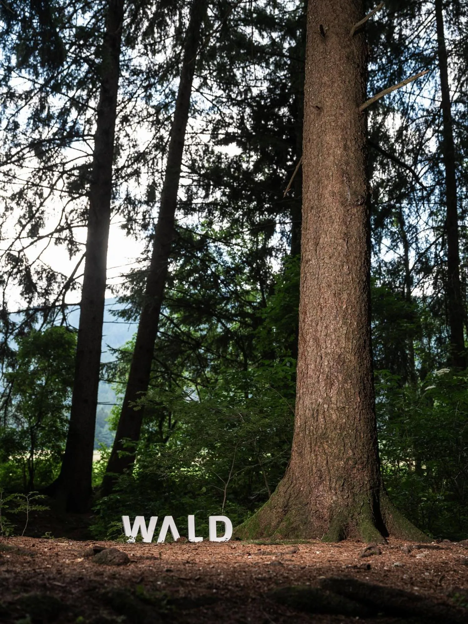 Hiking in Frida am Wald