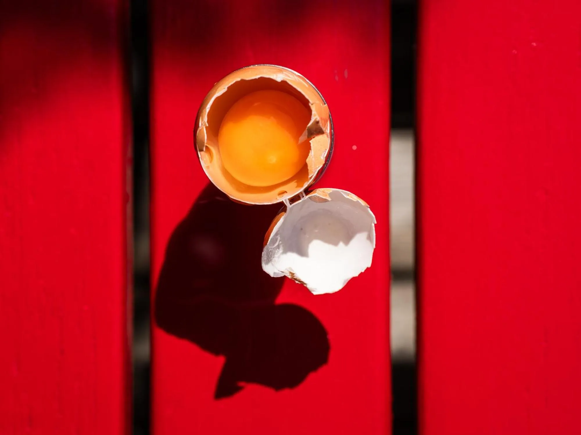 Breakfast in Frida am Wald