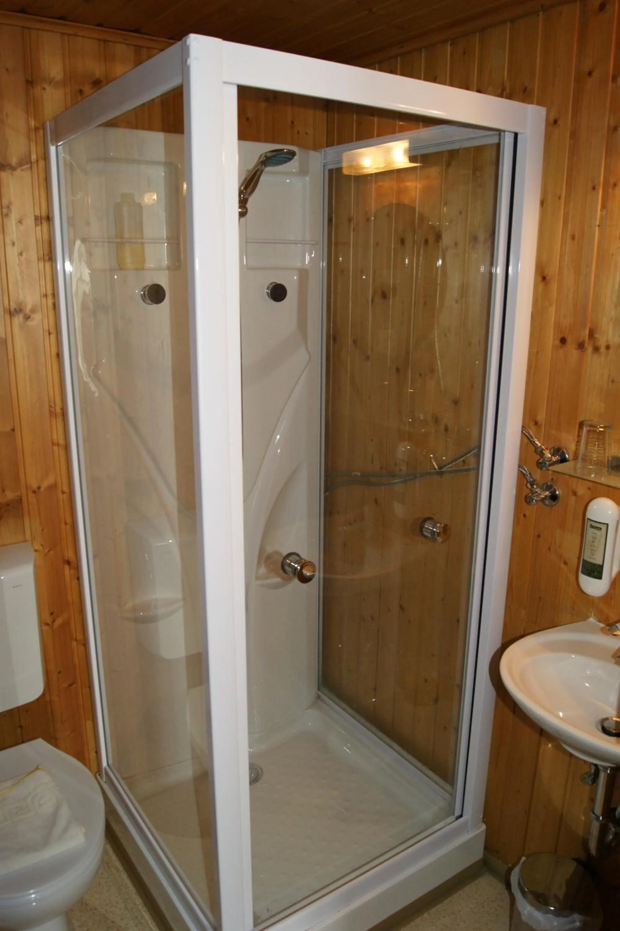 Shower in Hotel Lindenhof