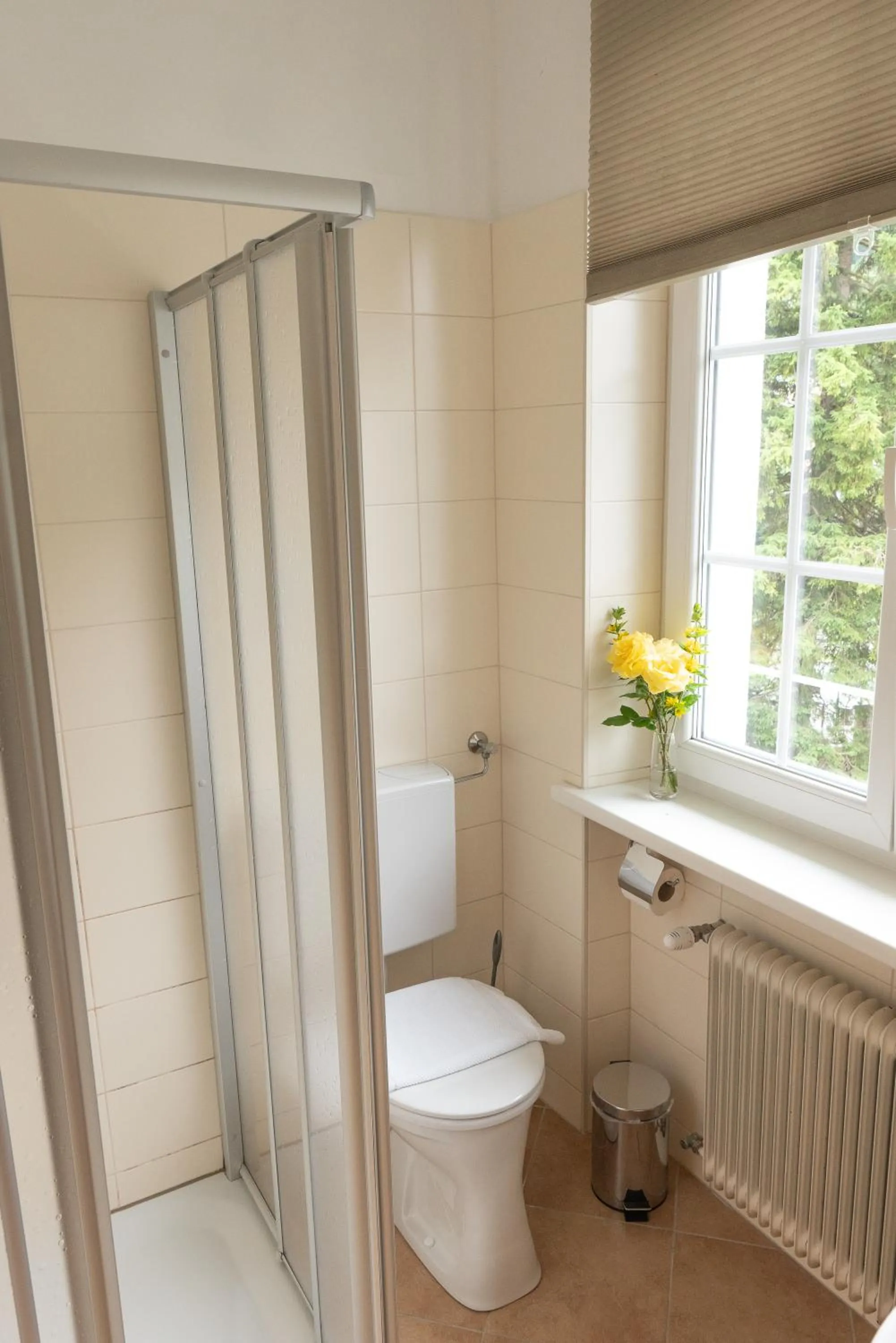 Shower in Hotel Lindenhof