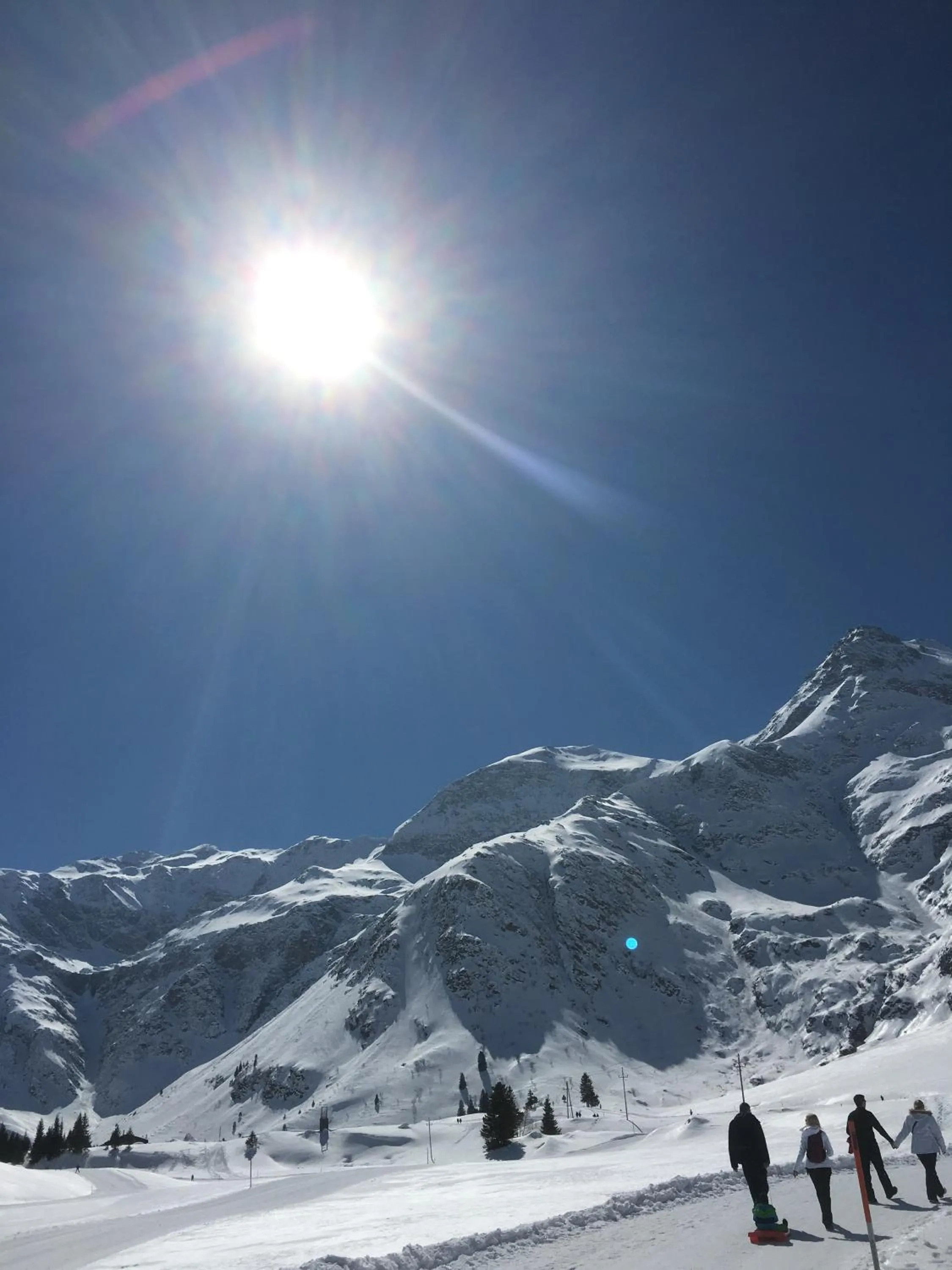 Natural landscape in Hotel Lindenhof
