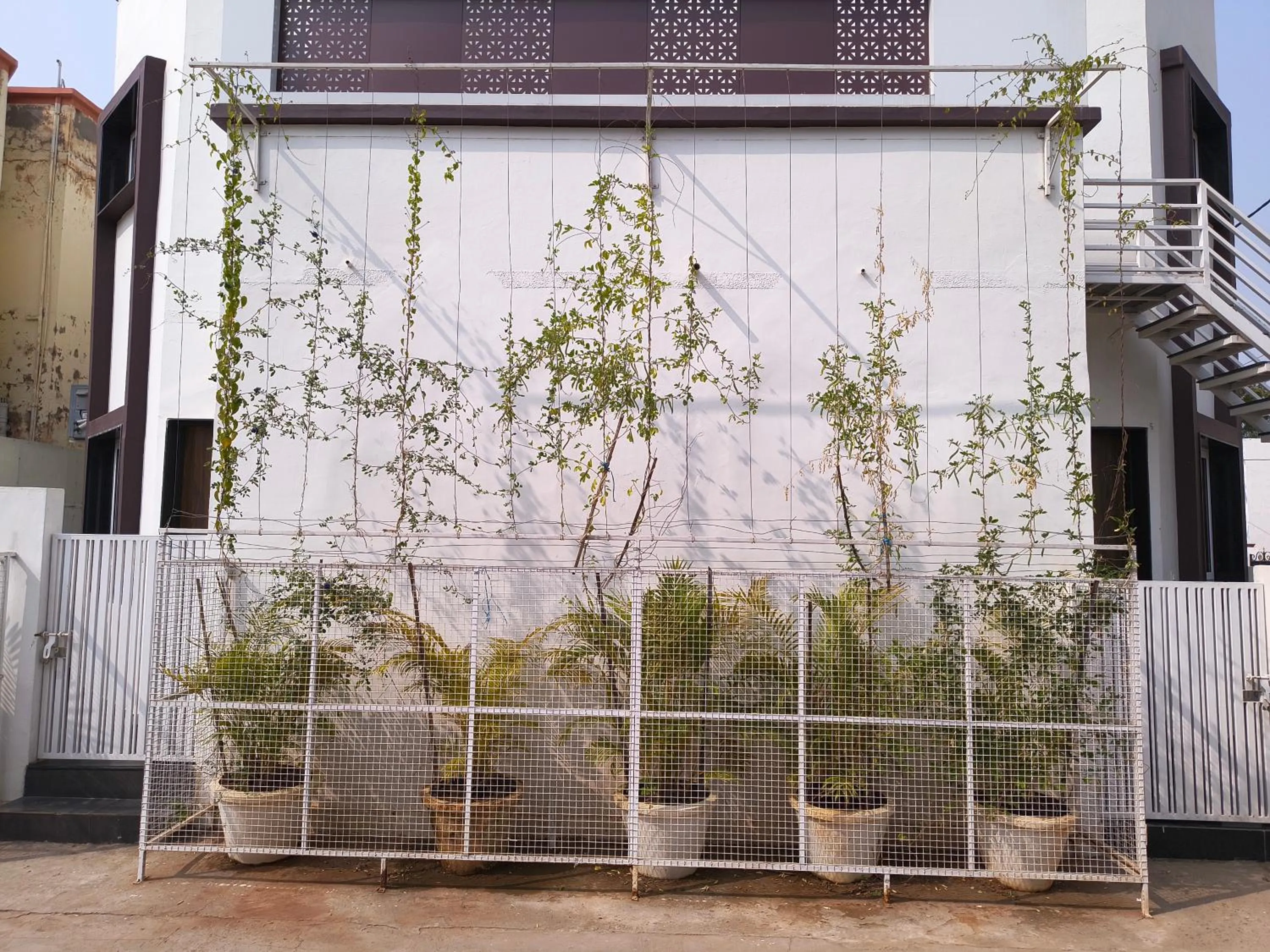 Property building in Daze Off Studio house