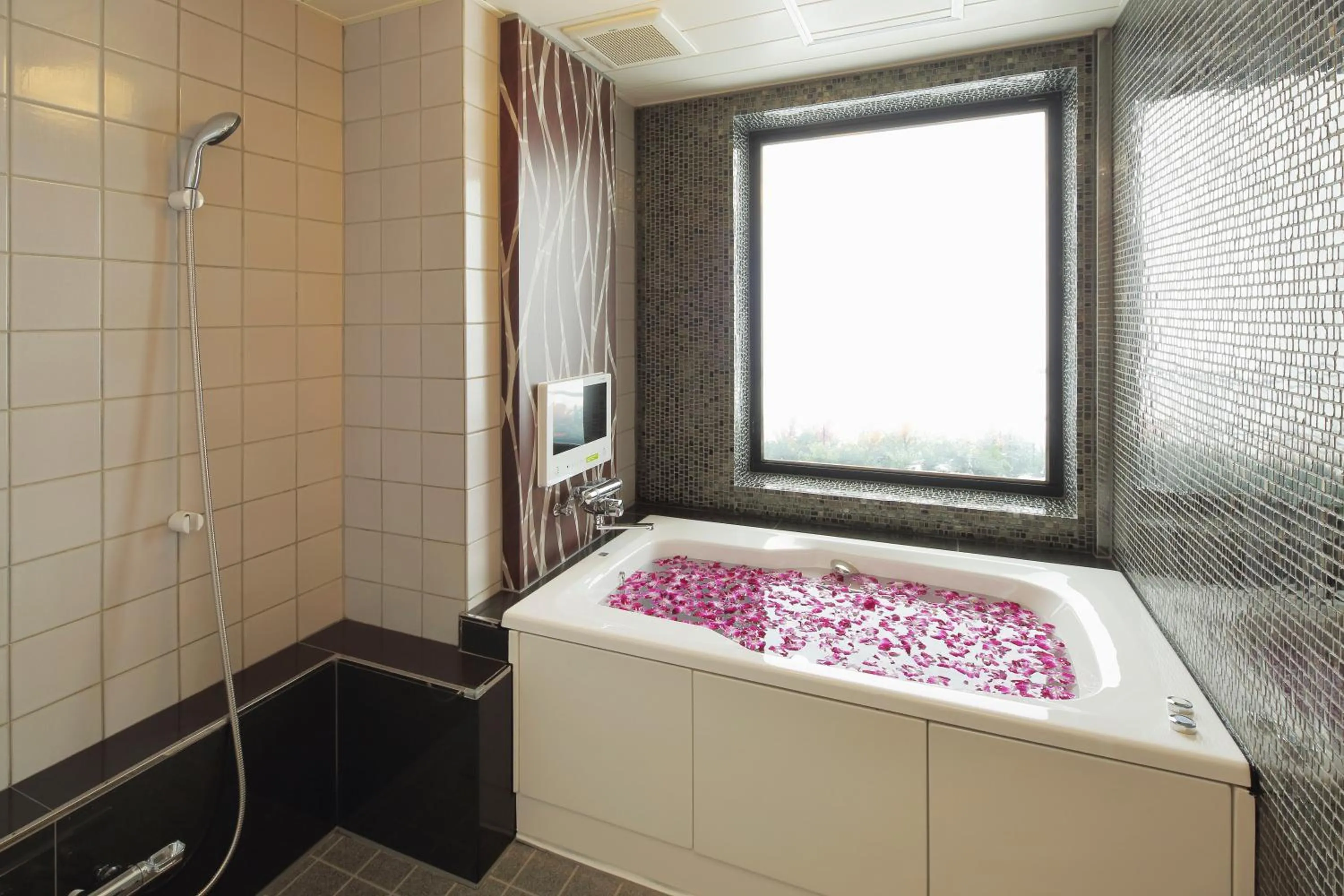 Bathroom in HOTEL ATLANTIS Otaru(Adult Only)