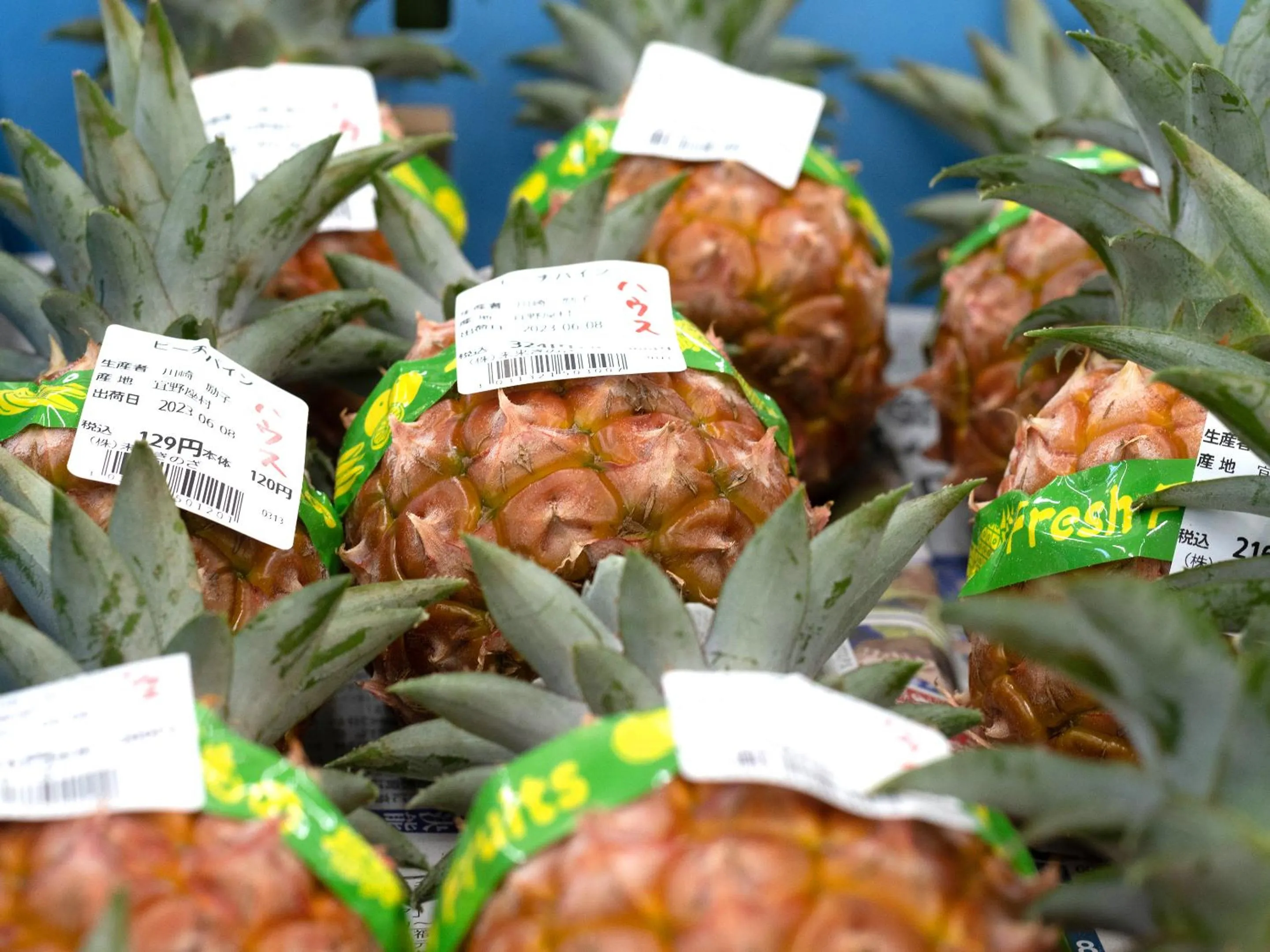 Off site in Dolcevita