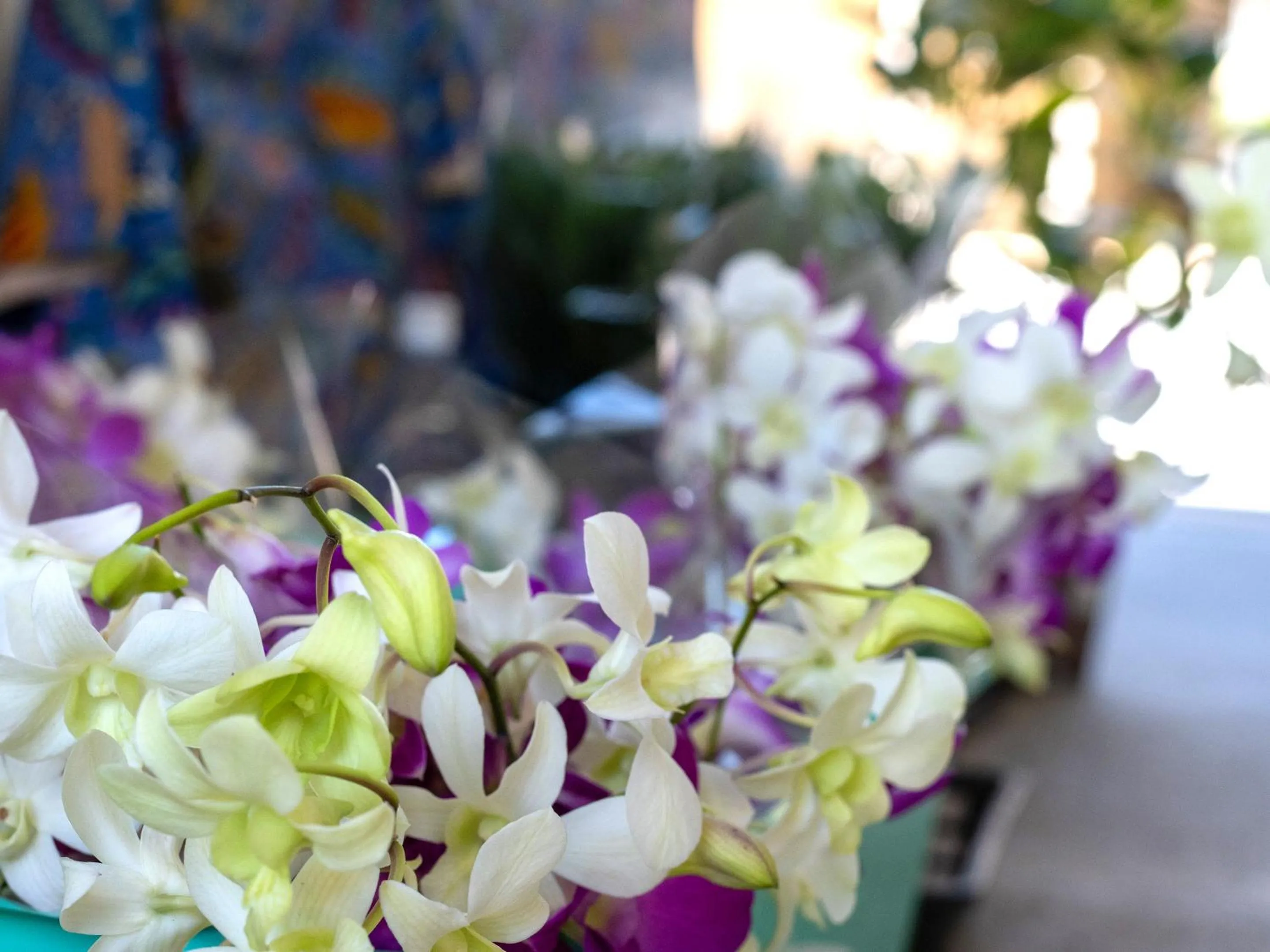 Off site in Dolcevita