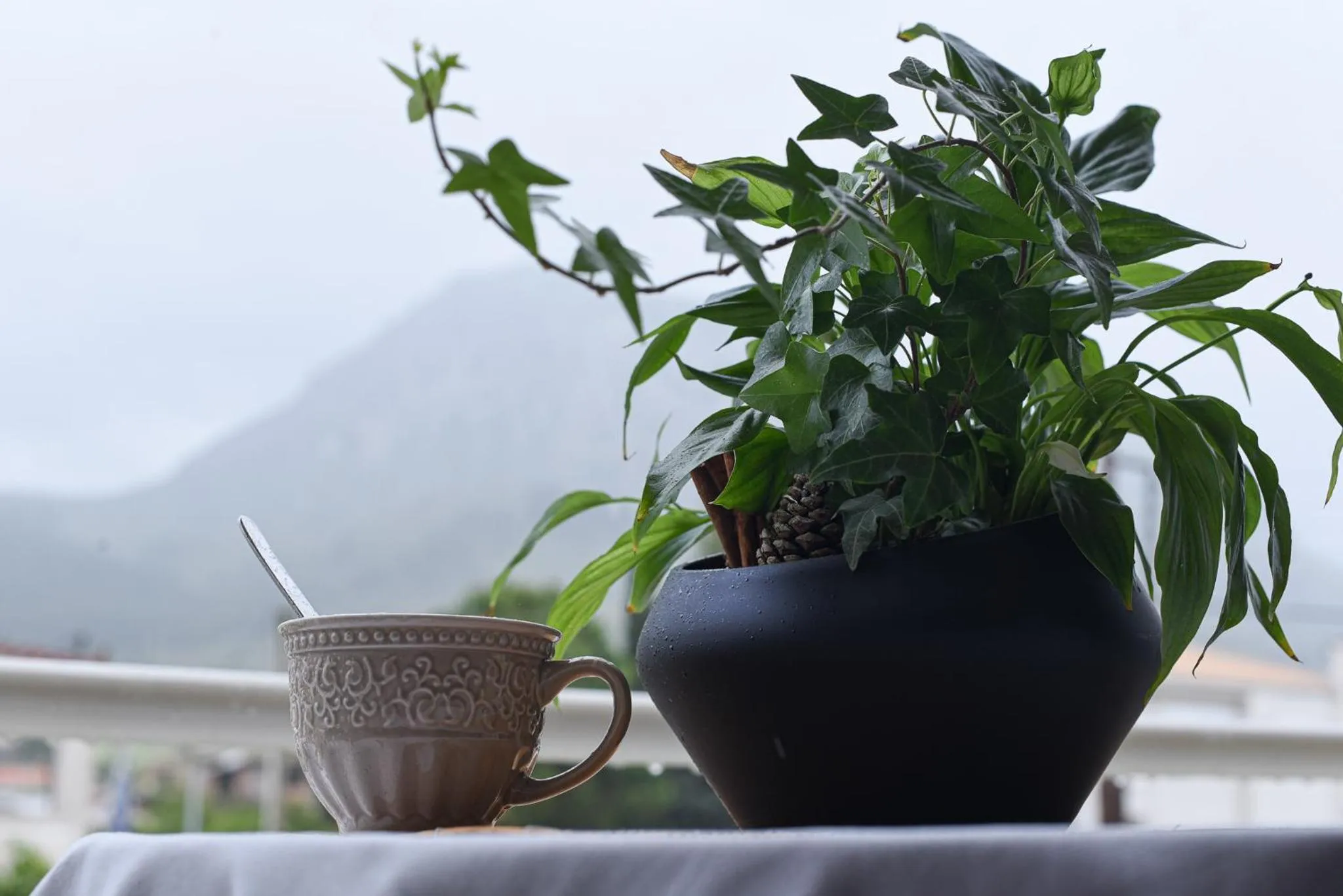 Day in Vasilios Marinos Rooms