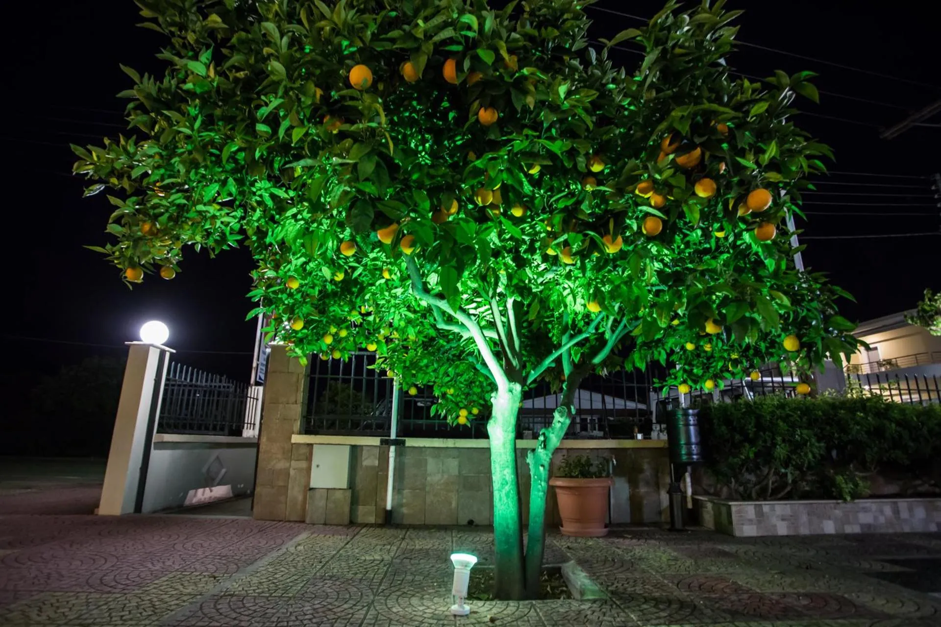 Patio in Vasilios Marinos Rooms