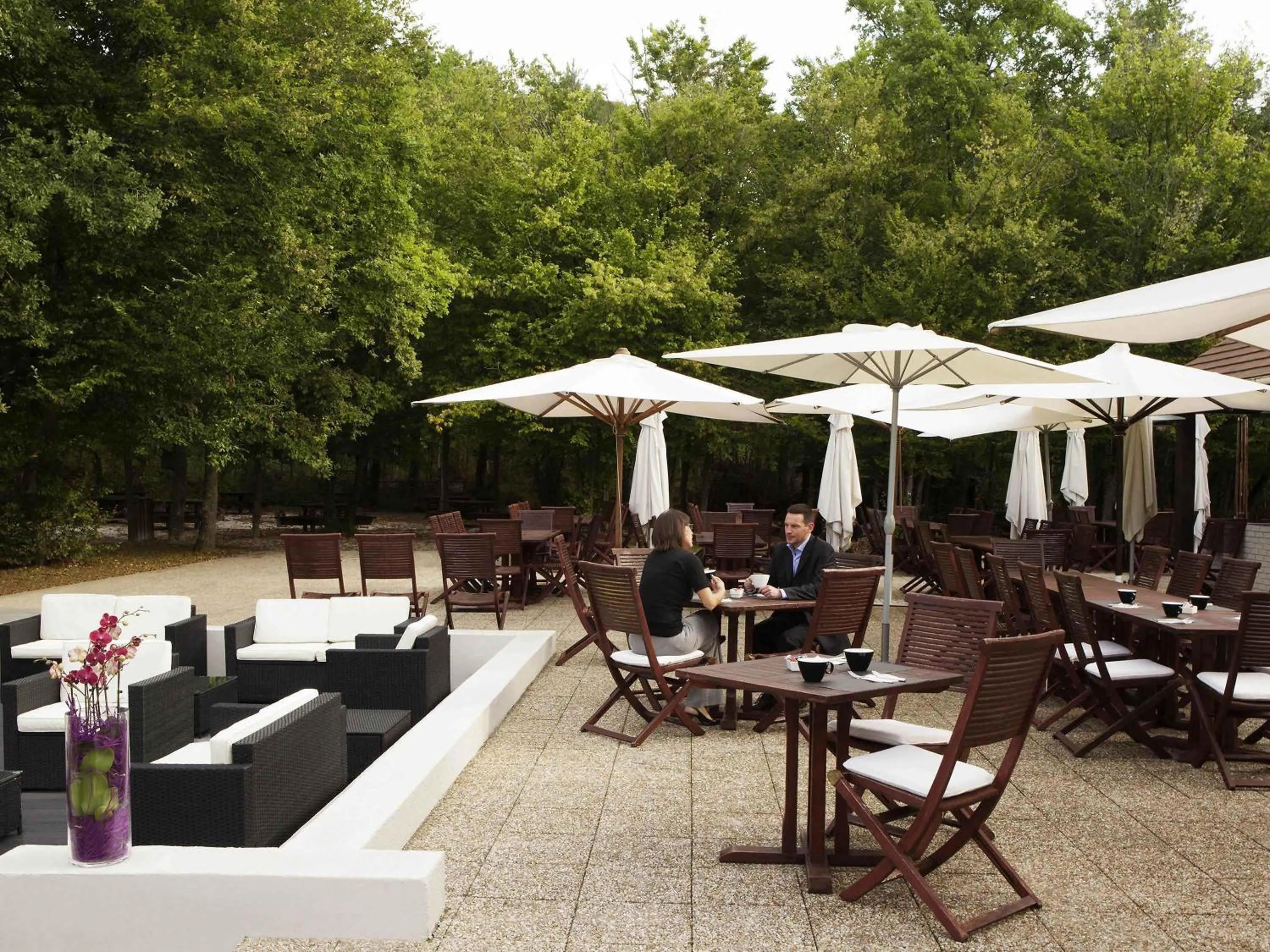 Restaurant/places to eat in Novotel Fontainebleau Ury