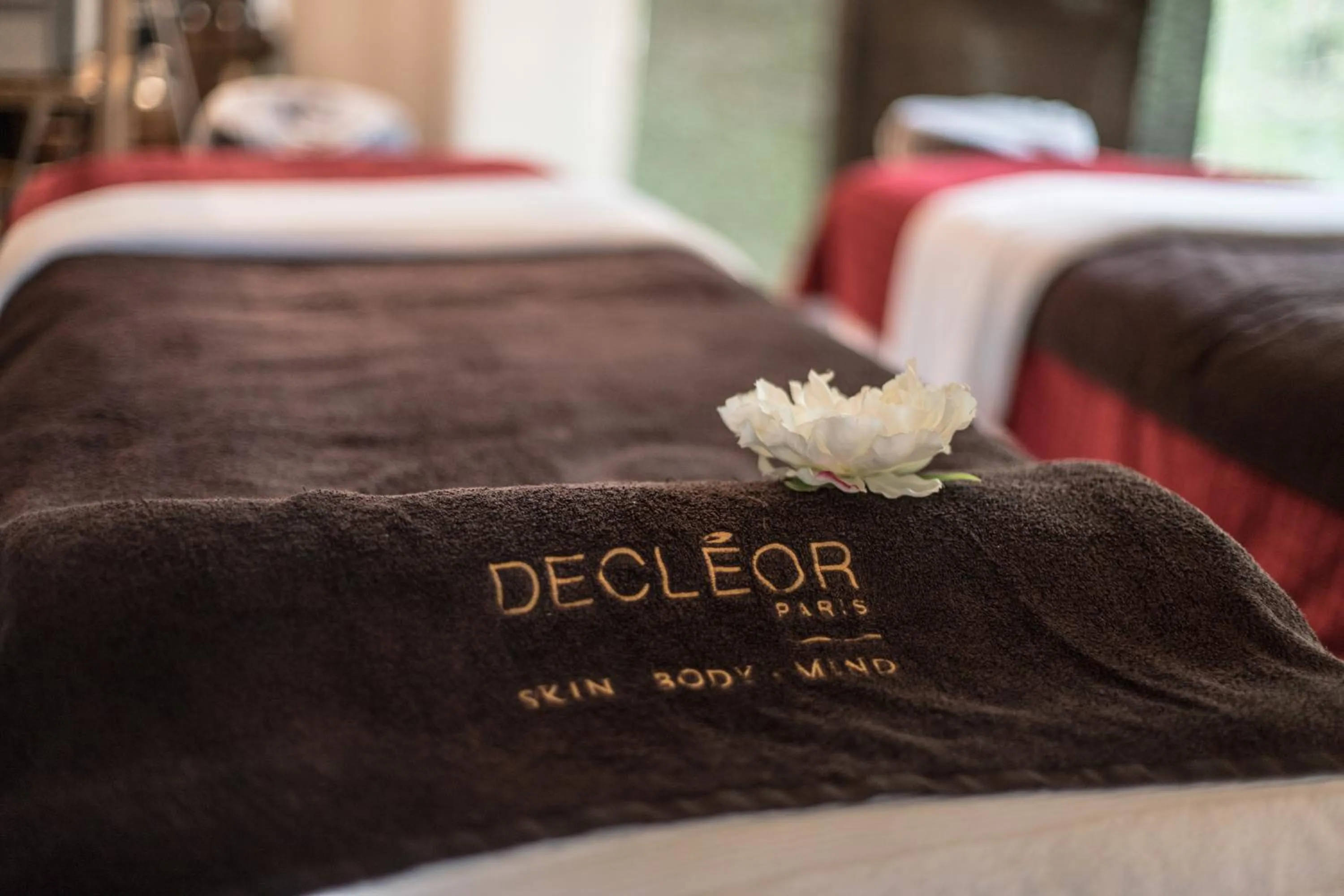 Massage, Bed in Novotel Fontainebleau Ury