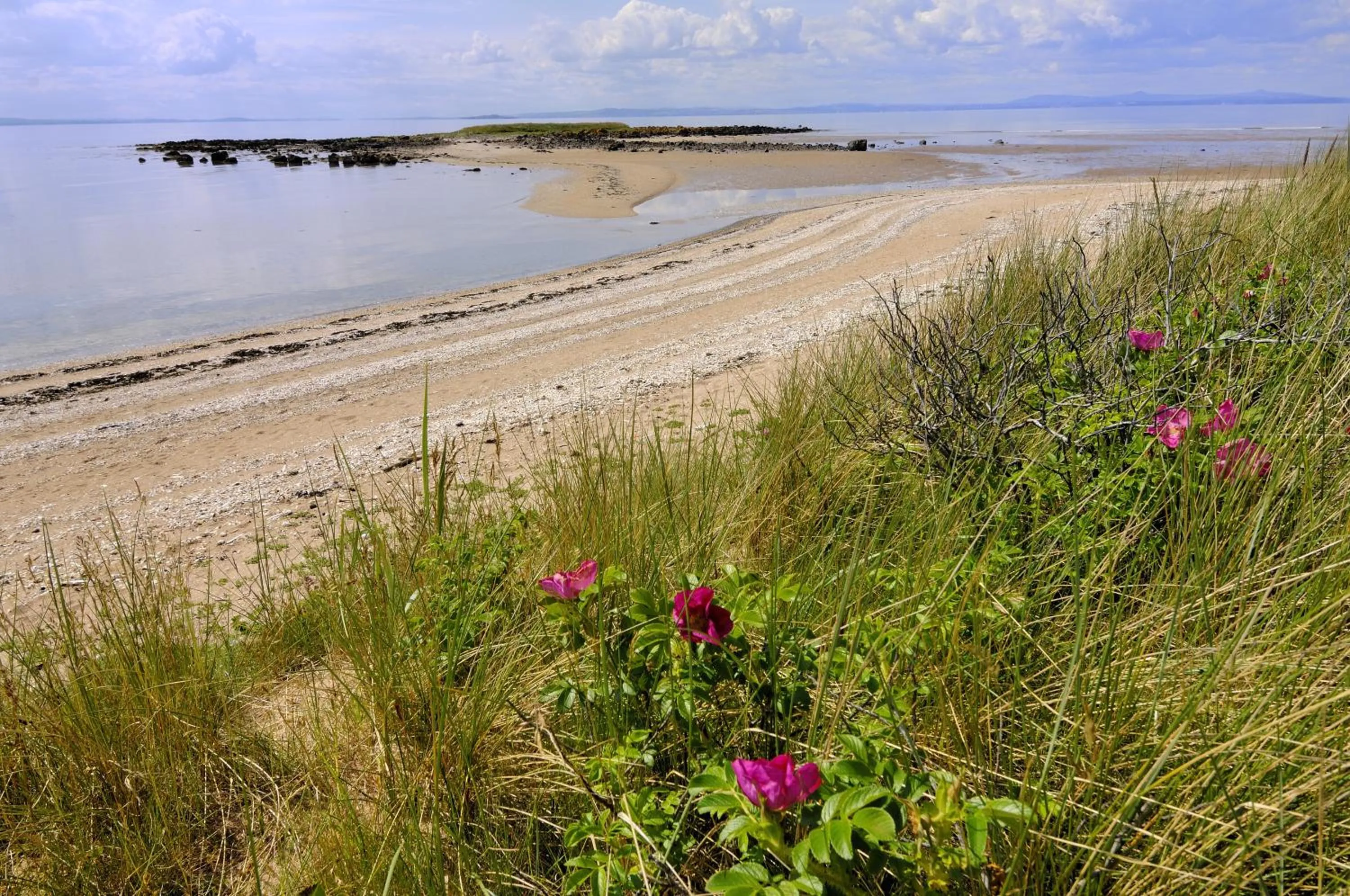 Beach in The Lodge at Craigielaw and Golf Courses