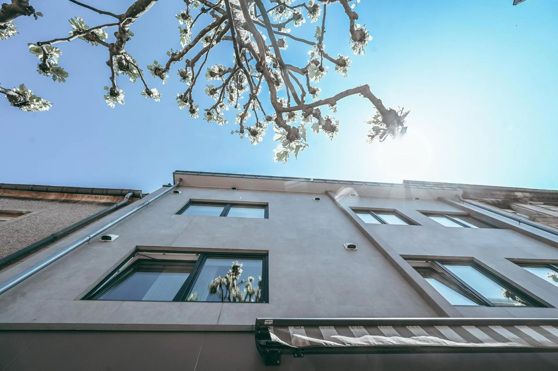 Property building in Wake Up Esch City