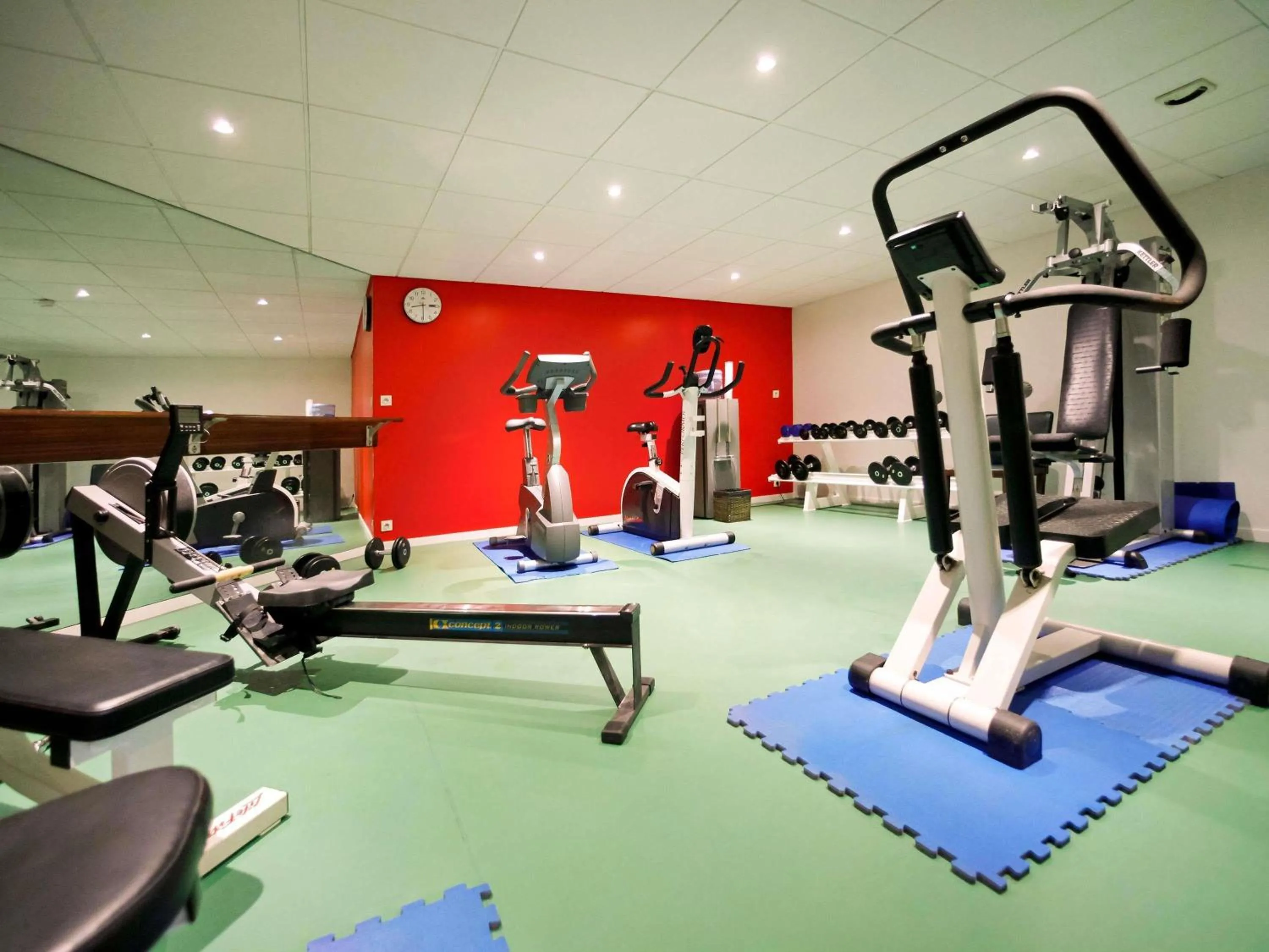 Fitness centre/facilities in Mercure Grenoble Centre Porte des Alpes