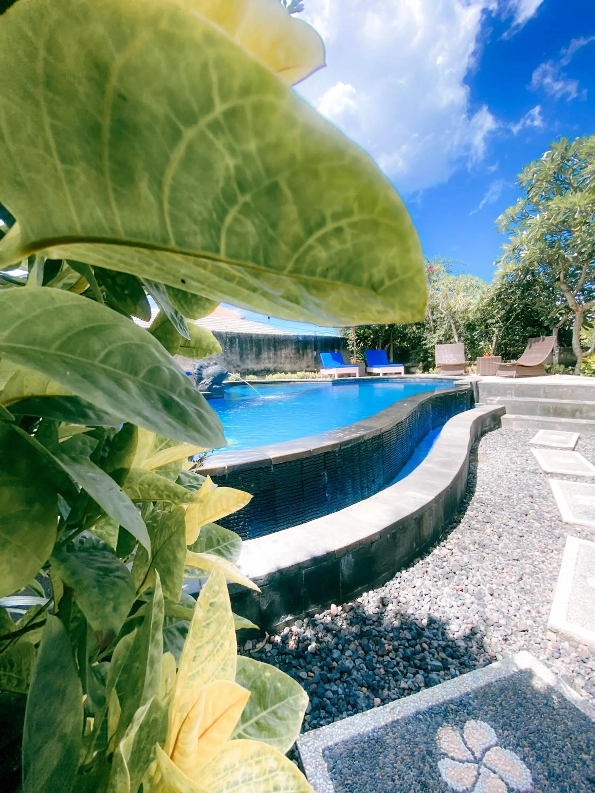 Swimming pool in Abian Huts Dream Beach Lembongan