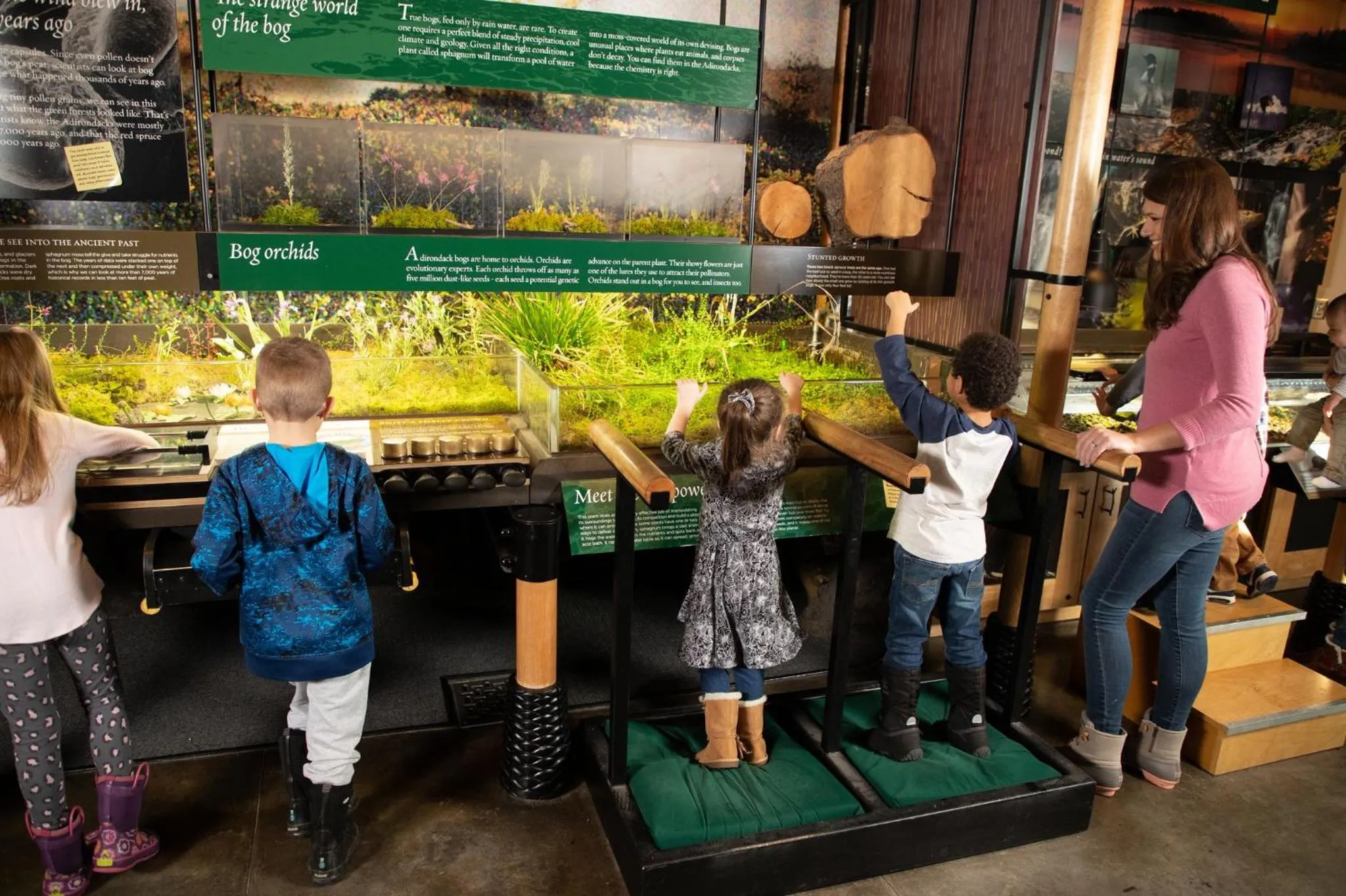 Nearby landmark in voco Saranac Lake NY - Waterfront by IHG