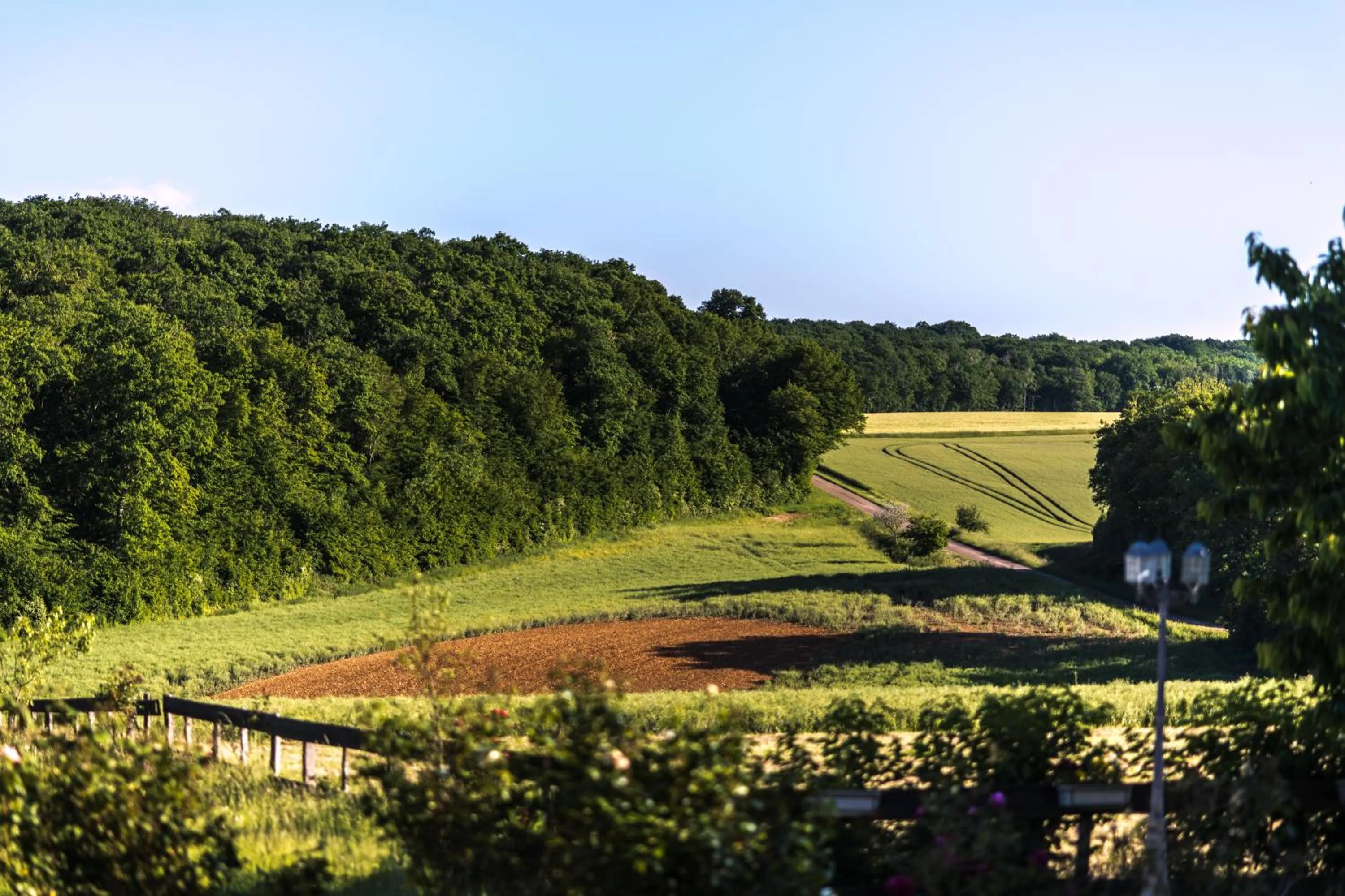 Garden in Le Petit Domaine de Bois Avril