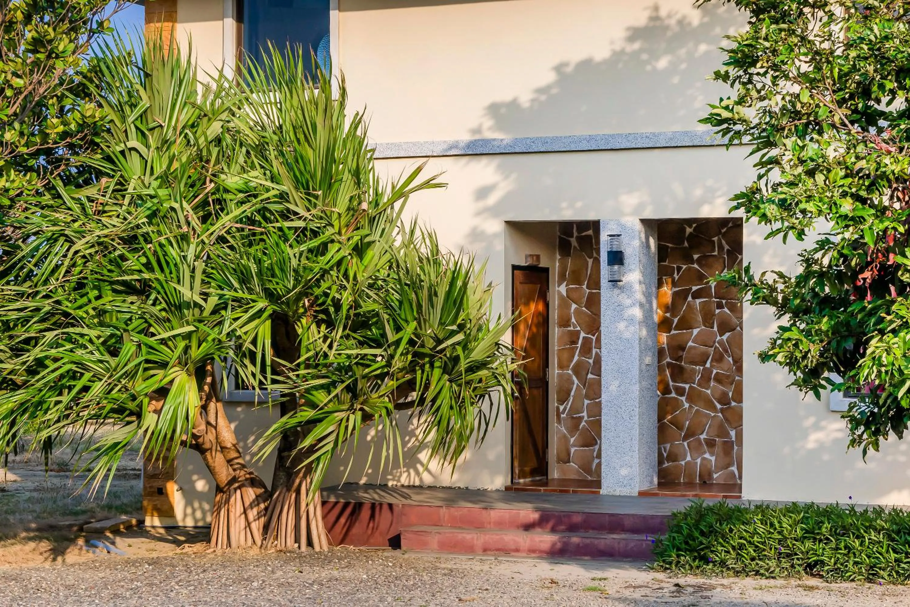 Garden view in Southern Sun Homestay North