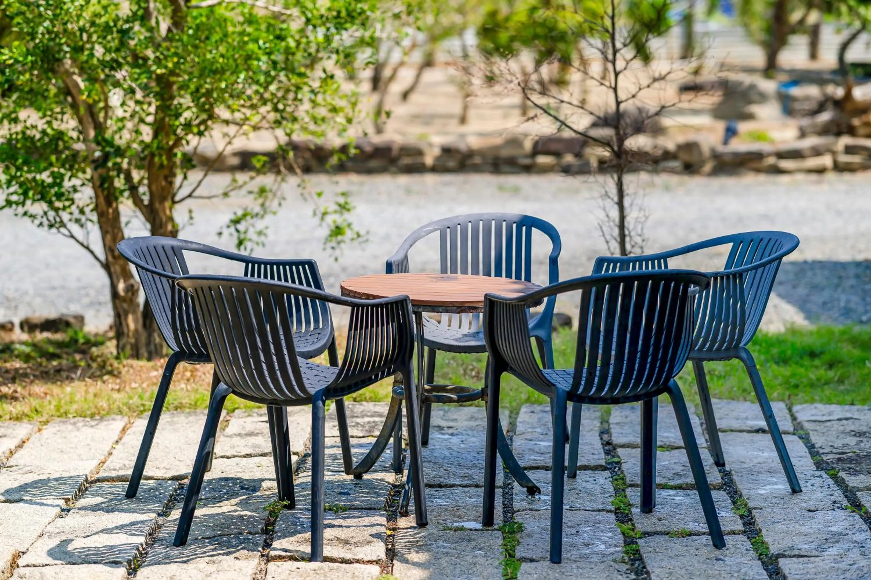 Patio in Southern Sun Homestay North
